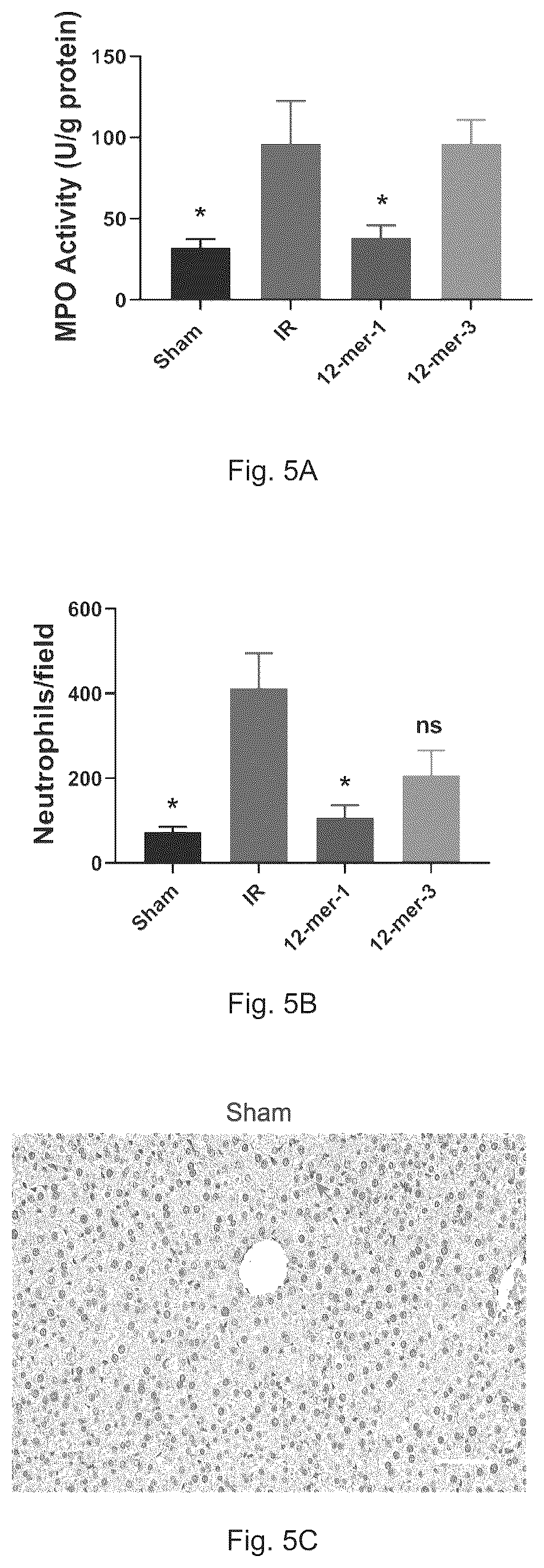 Patent US12569512 Figure 7 – Heparan sulfate (HS) oligosaccharides effect in liver ischemia reperfusion injury
