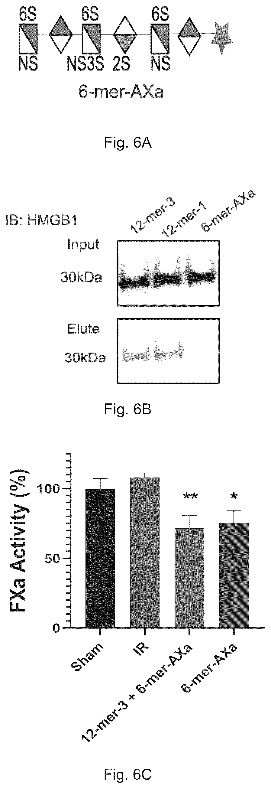 Patent US12569512 Figure 9 – Heparan sulfate (HS) oligosaccharides effect in liver ischemia reperfusion injury