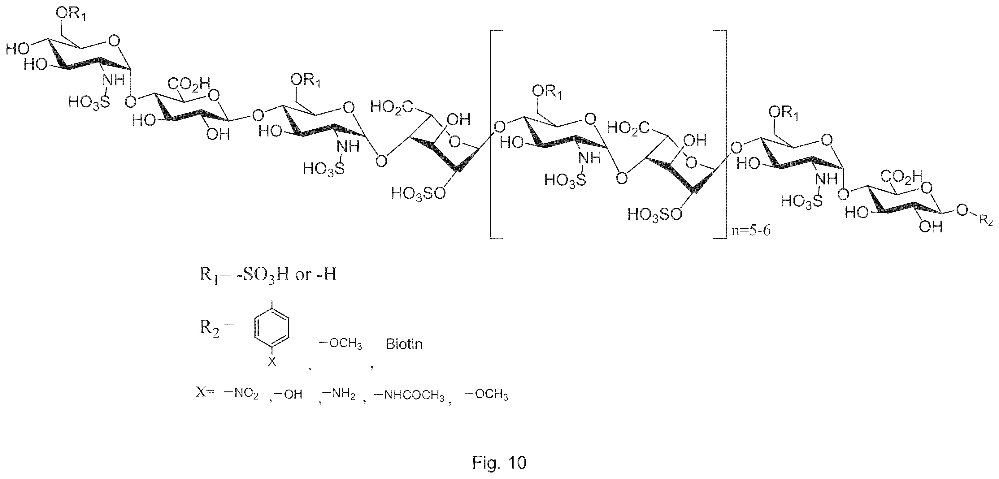 Patent US12569512 Figure 13 – Heparan sulfate (HS) oligosaccharides effect in liver ischemia reperfusion injury