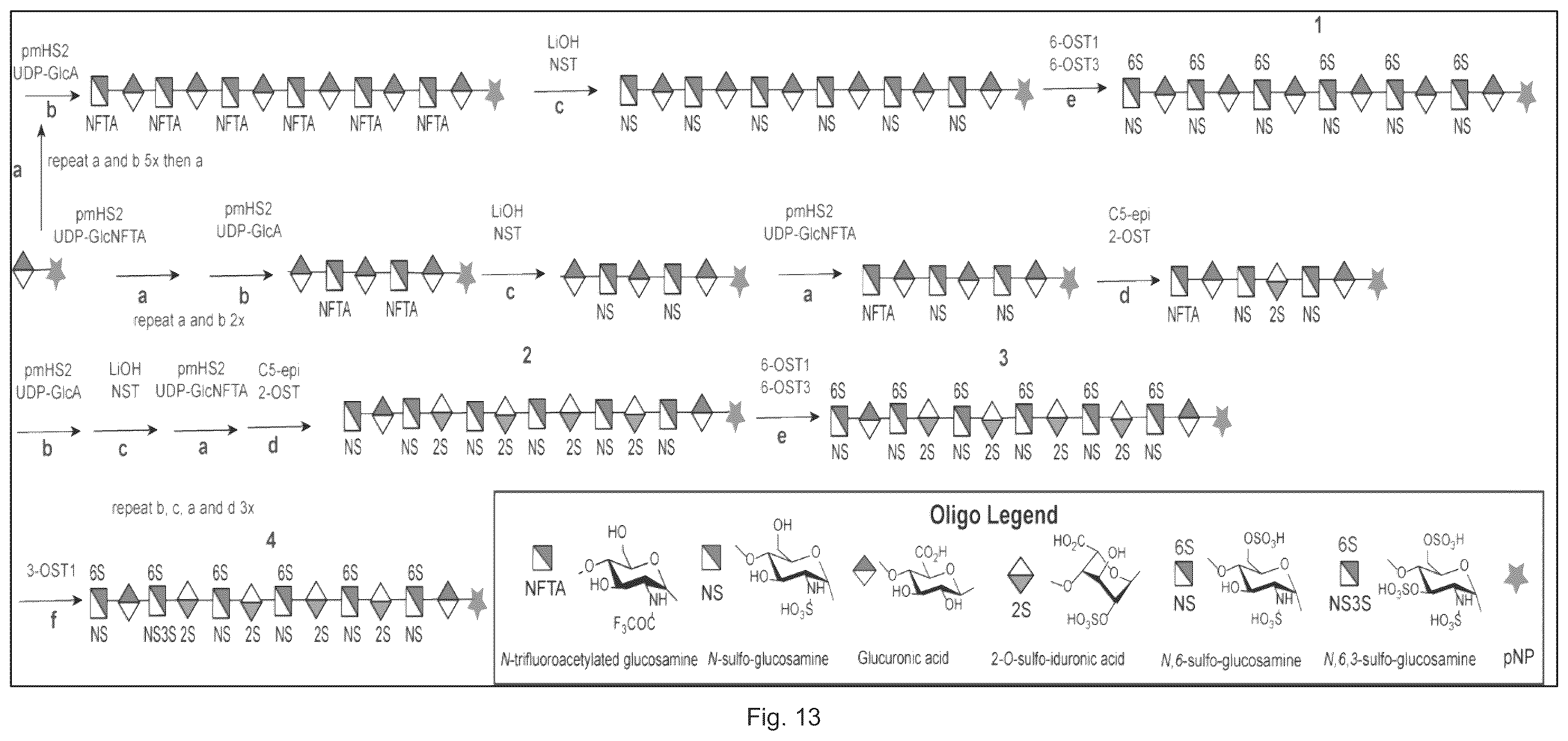 Patent US12569512 Figure 18 – Heparan sulfate (HS) oligosaccharides effect in liver ischemia reperfusion injury