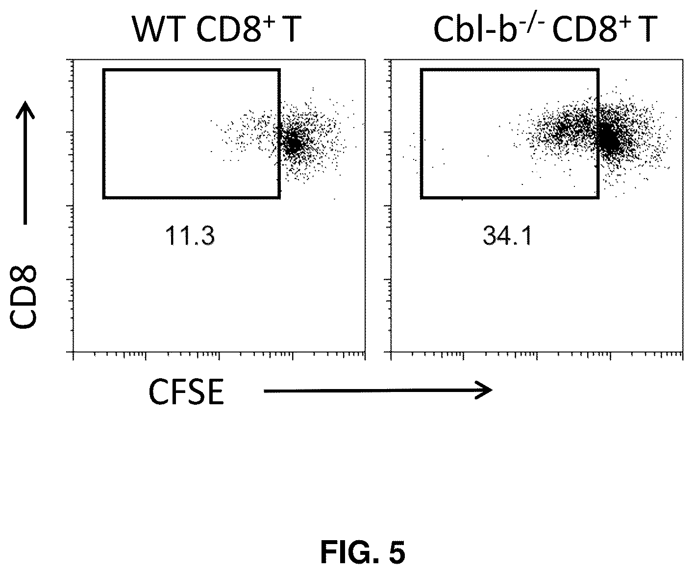 Patent US12569516 Figure 5 – Subject-specific tumor inhibiting cells and the use thereof