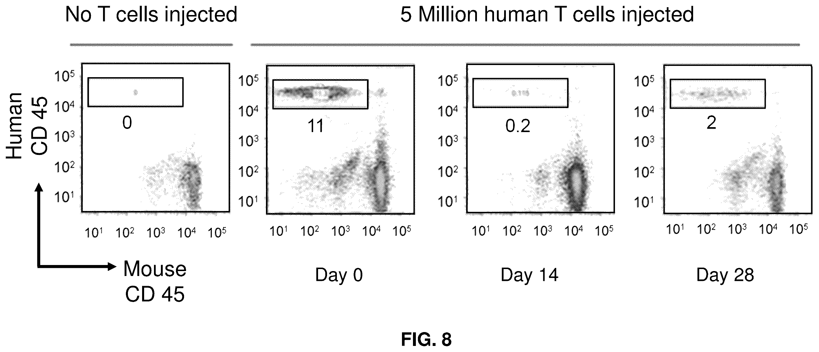 Patent US12569516 Figure 7 – Subject-specific tumor inhibiting cells and the use thereof