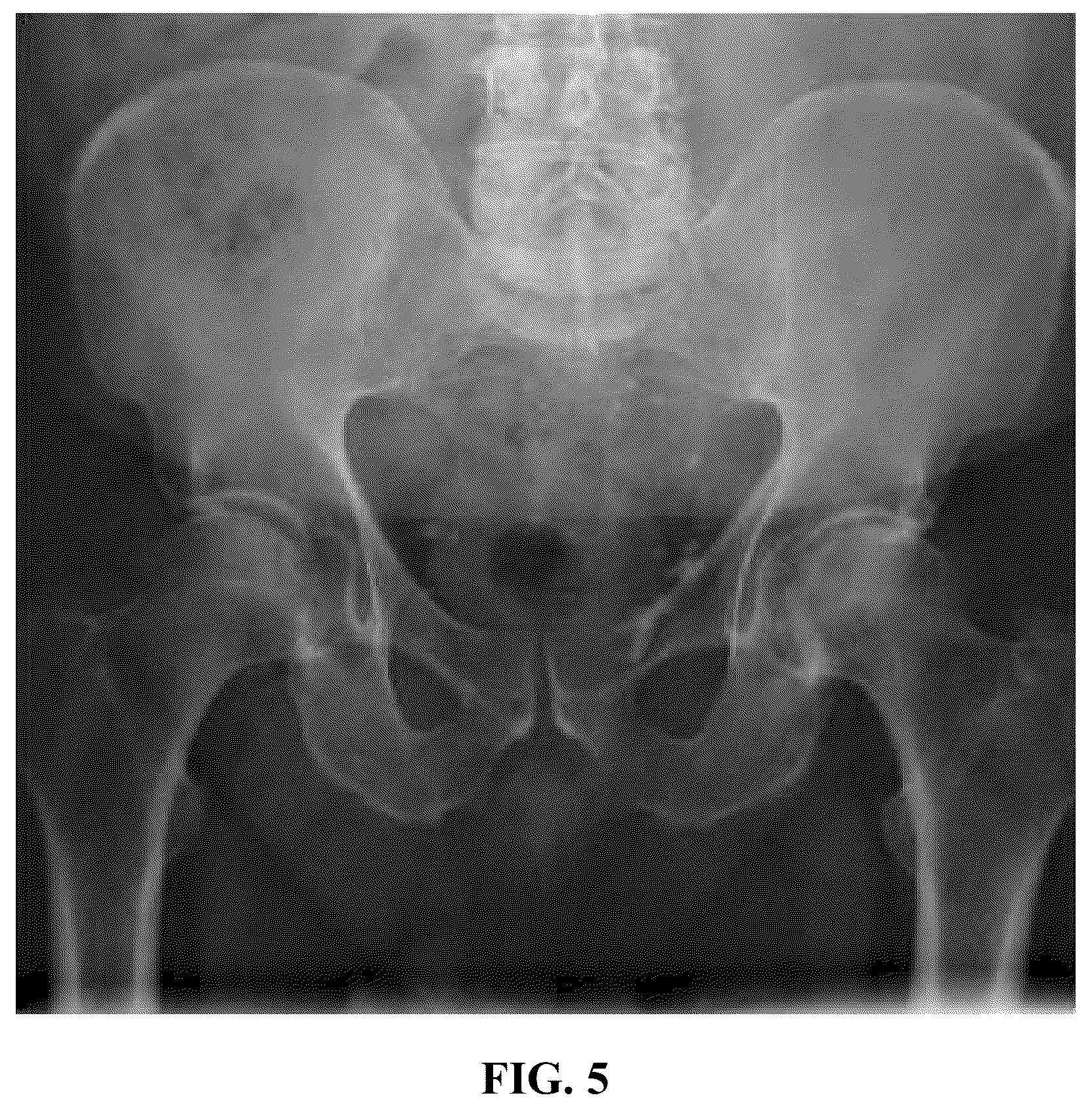 Patent US12569517 Figure 4 – Method for treating osteoarthritis with mesenchymal stem cell exosomes