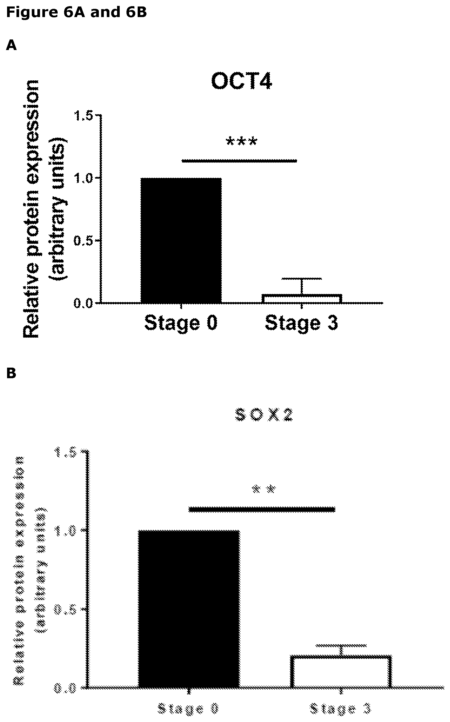 Patent US12569518 Figure 6 – Cartilage tissue
