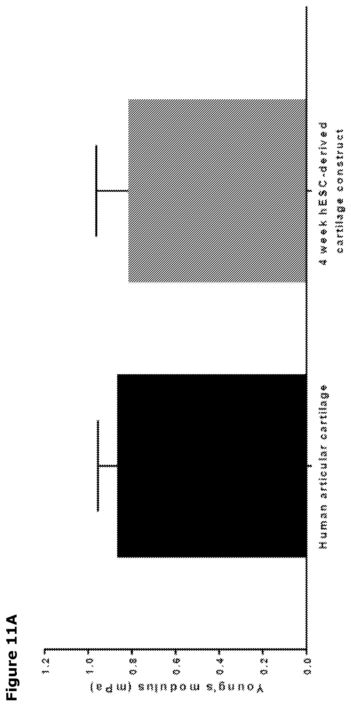 Patent US12569518 Figure 14 – Cartilage tissue