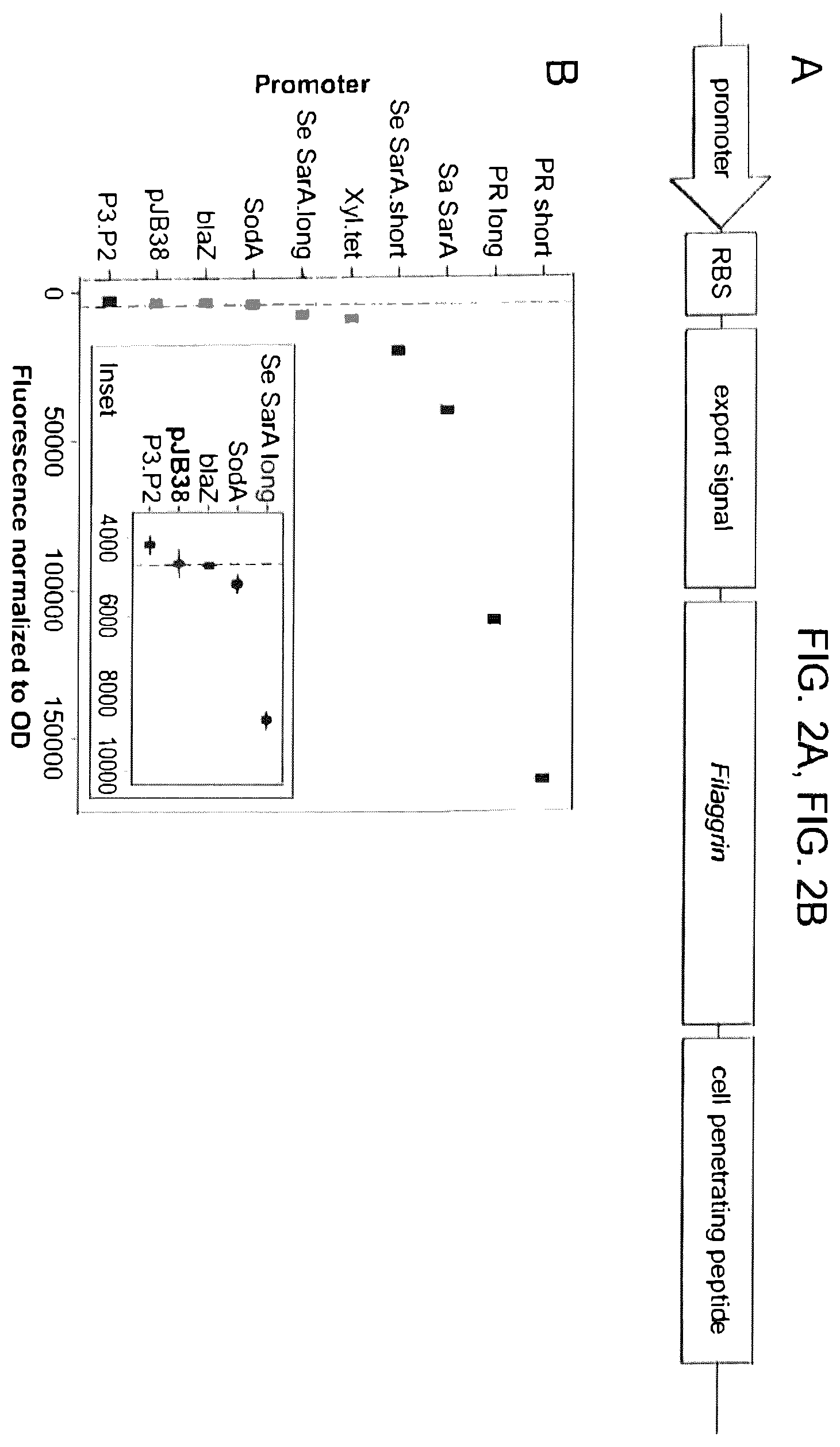 Patent US12569521 Figure 4 – Methods and compositions for treating inflammatory skin disease with recombinant microorganisms