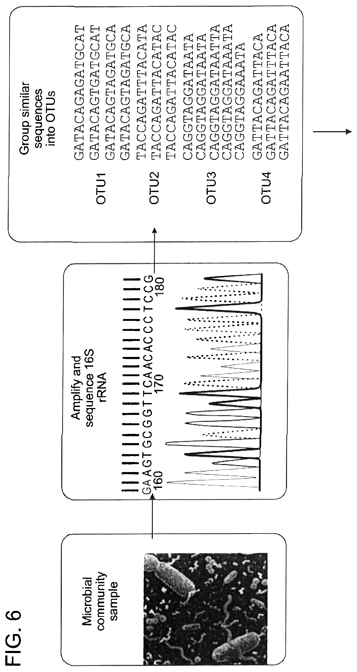 Patent US12569521 Figure 11 – Methods and compositions for treating inflammatory skin disease with recombinant microorganisms