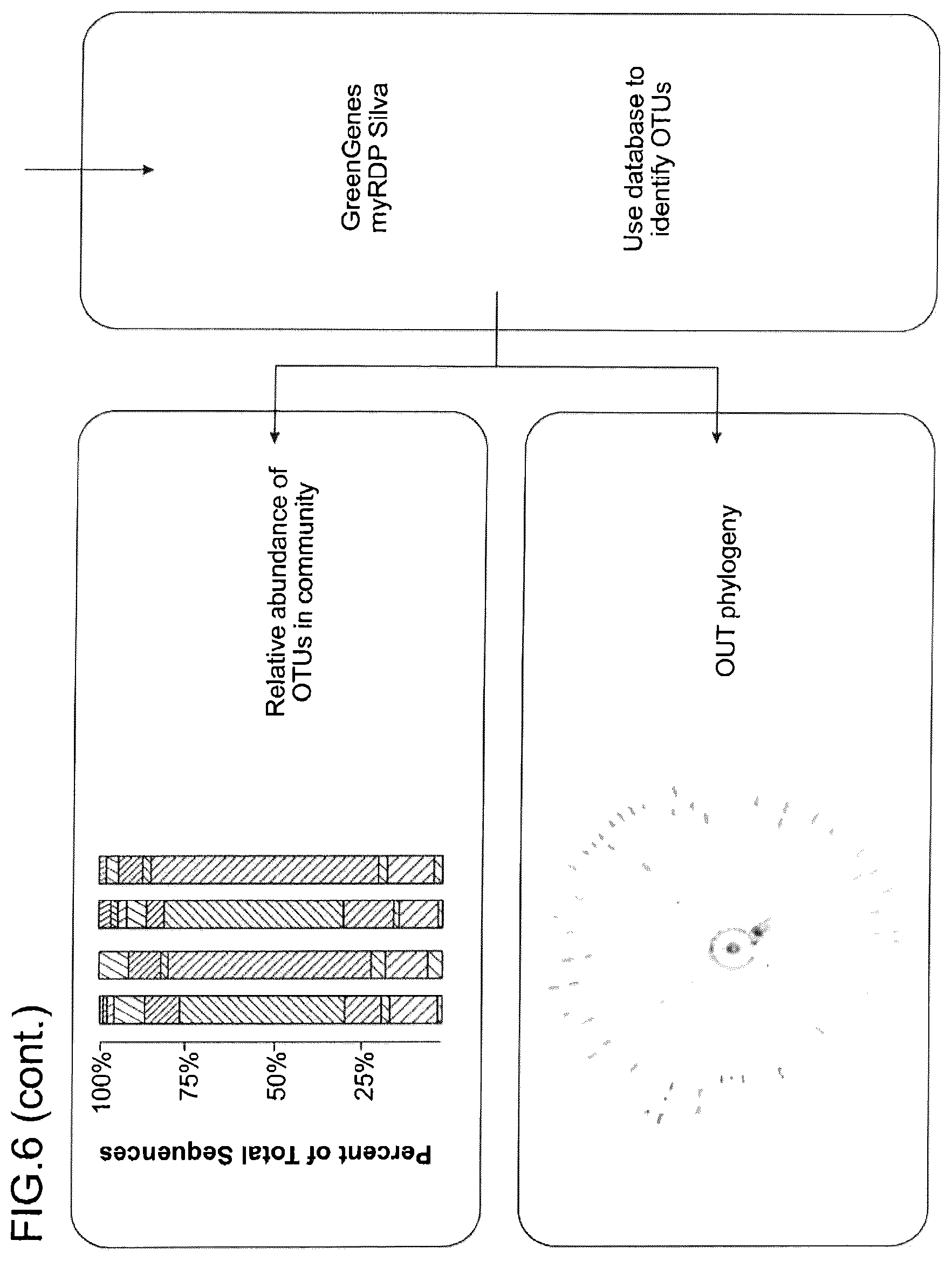 Patent US12569521 Figure 12 – Methods and compositions for treating inflammatory skin disease with recombinant microorganisms