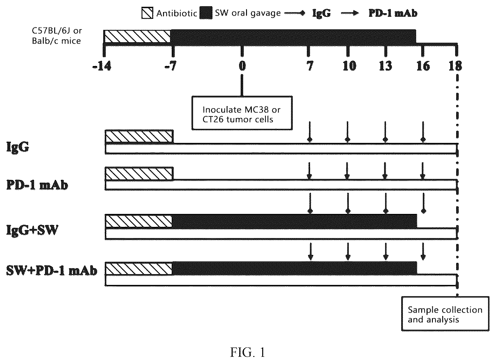 Patent US12569522 — Pharmaceutical composition comprising Sutterella wadsworthensis and immune checkpoint inhibitors for treatment of colon cancer — Figure 1
