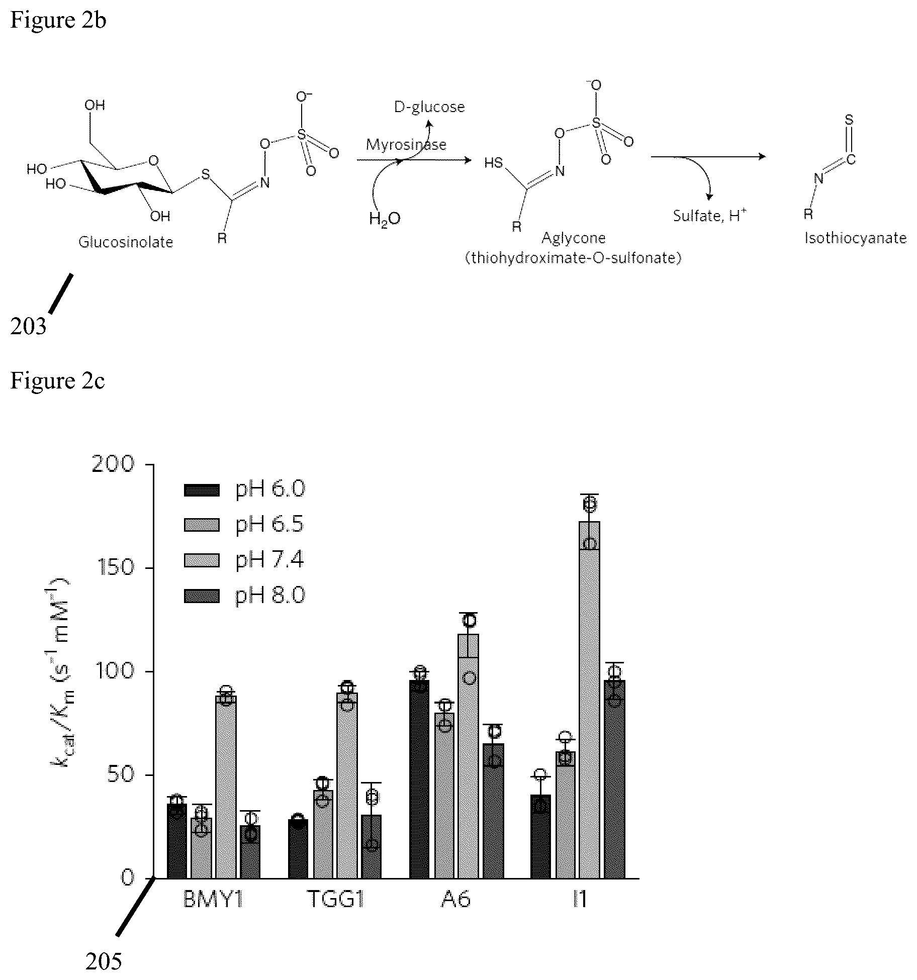 Patent US12569523 Figure 2 – Engineered therapeutic probiotic system and method