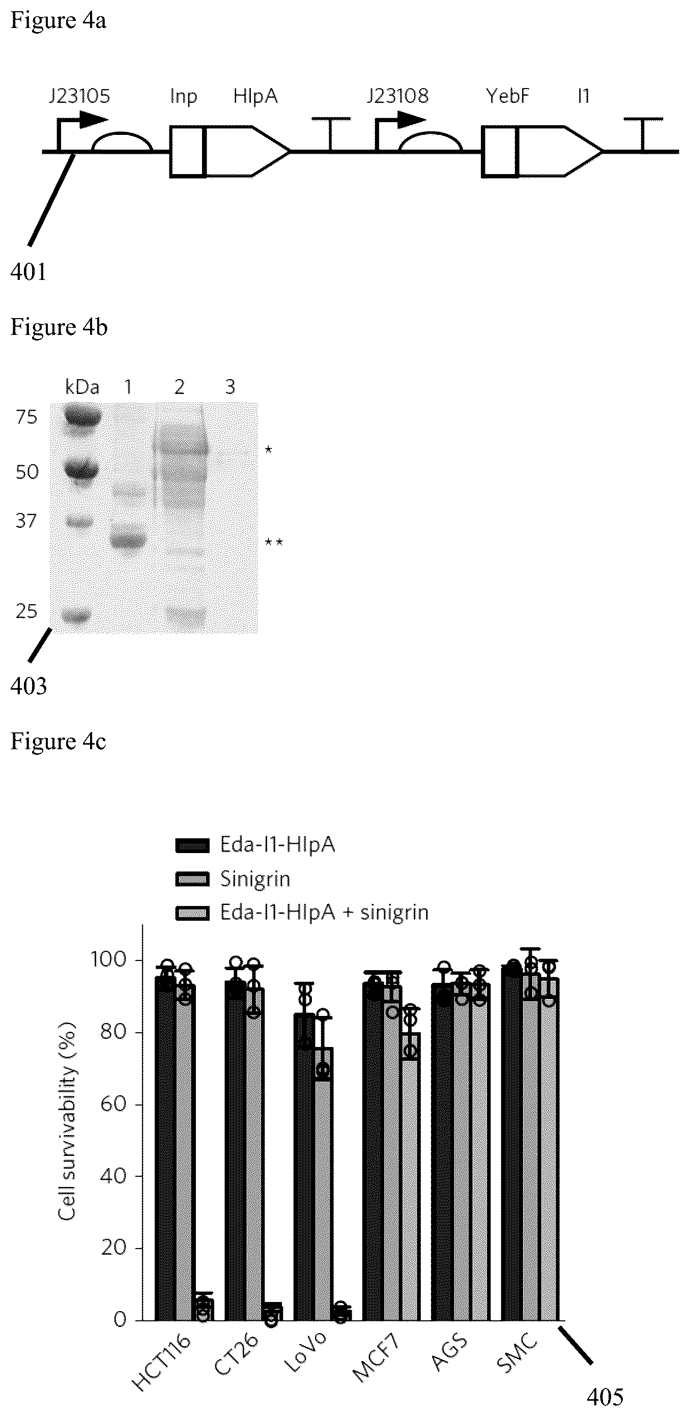 Patent US12569523 Figure 5 – Engineered therapeutic probiotic system and method