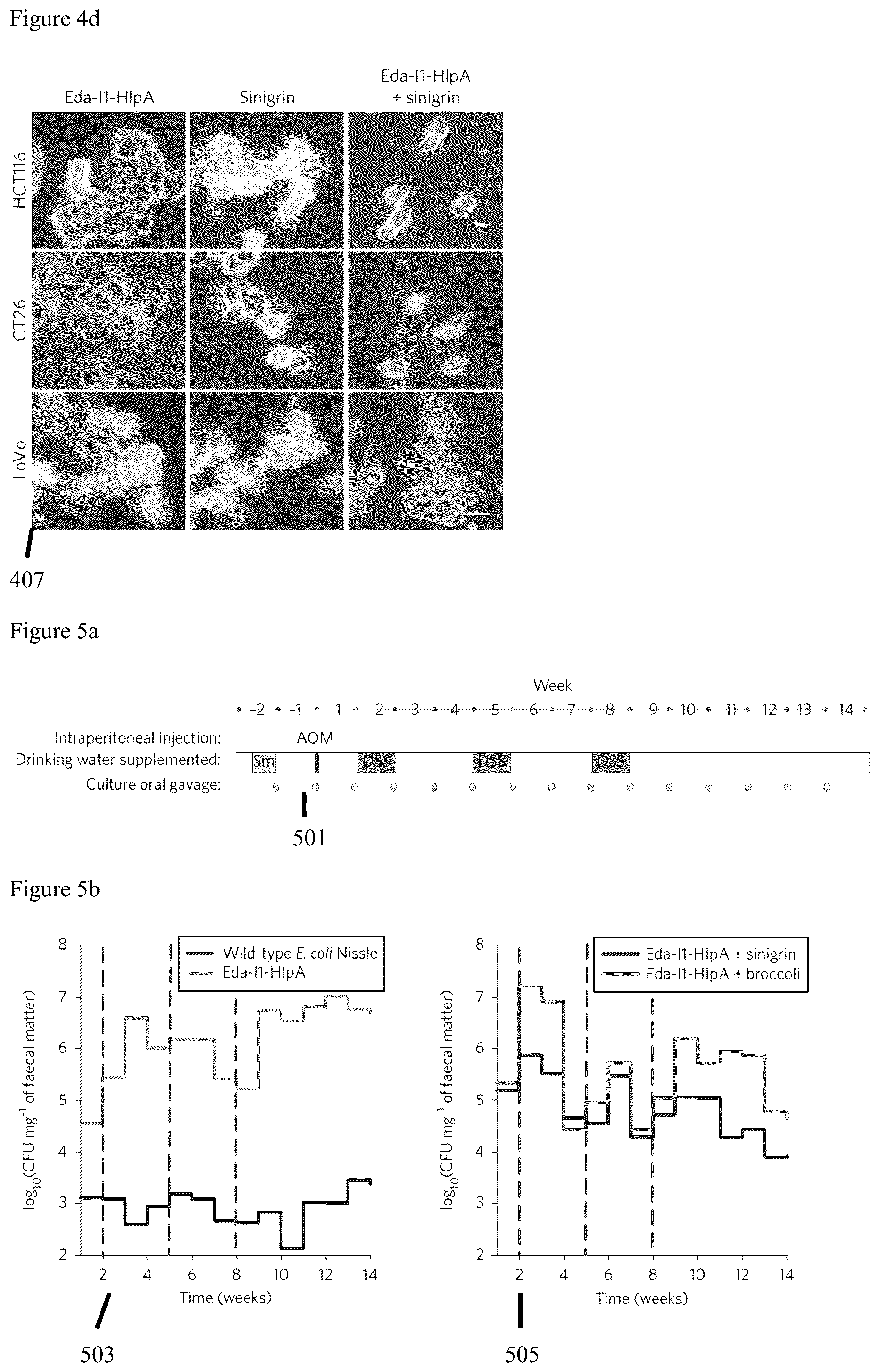 Patent US12569523 Figure 6 – Engineered therapeutic probiotic system and method