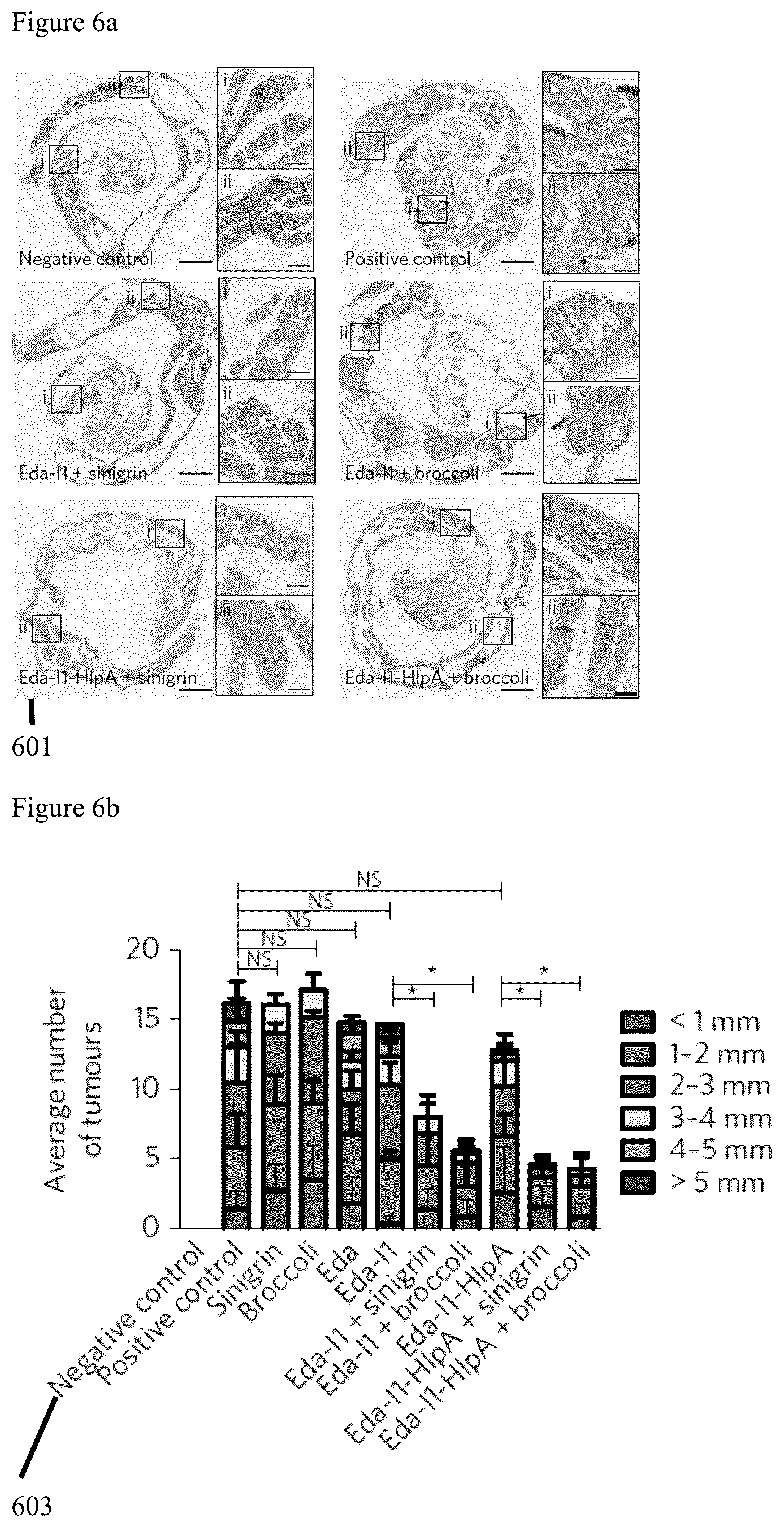 Patent US12569523 Figure 8 – Engineered therapeutic probiotic system and method