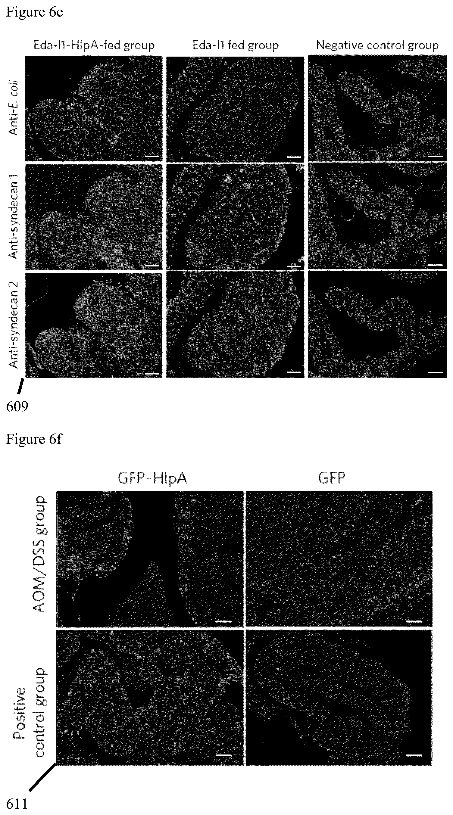 Patent US12569523 Figure 10 – Engineered therapeutic probiotic system and method