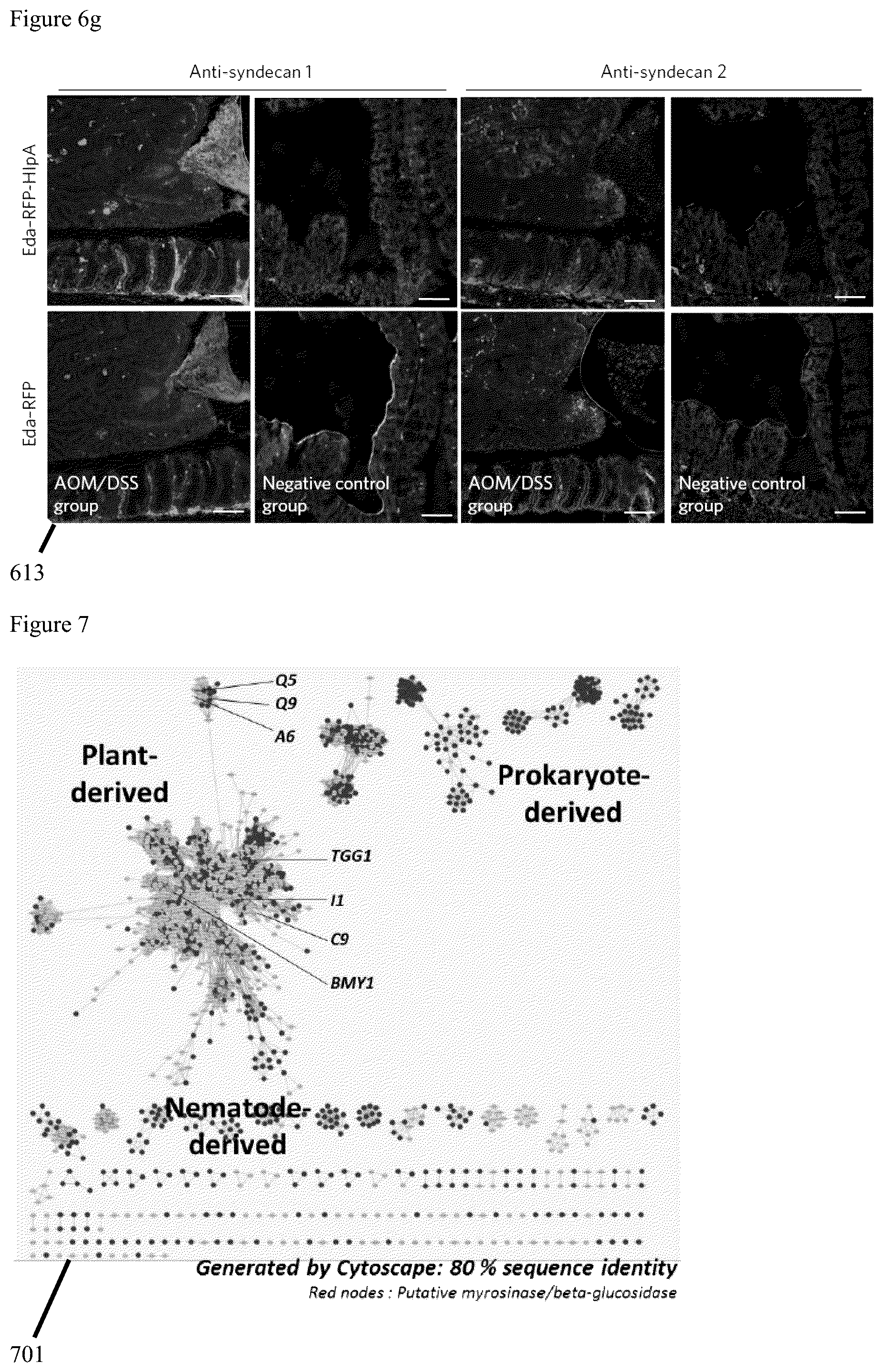 Patent US12569523 Figure 11 – Engineered therapeutic probiotic system and method