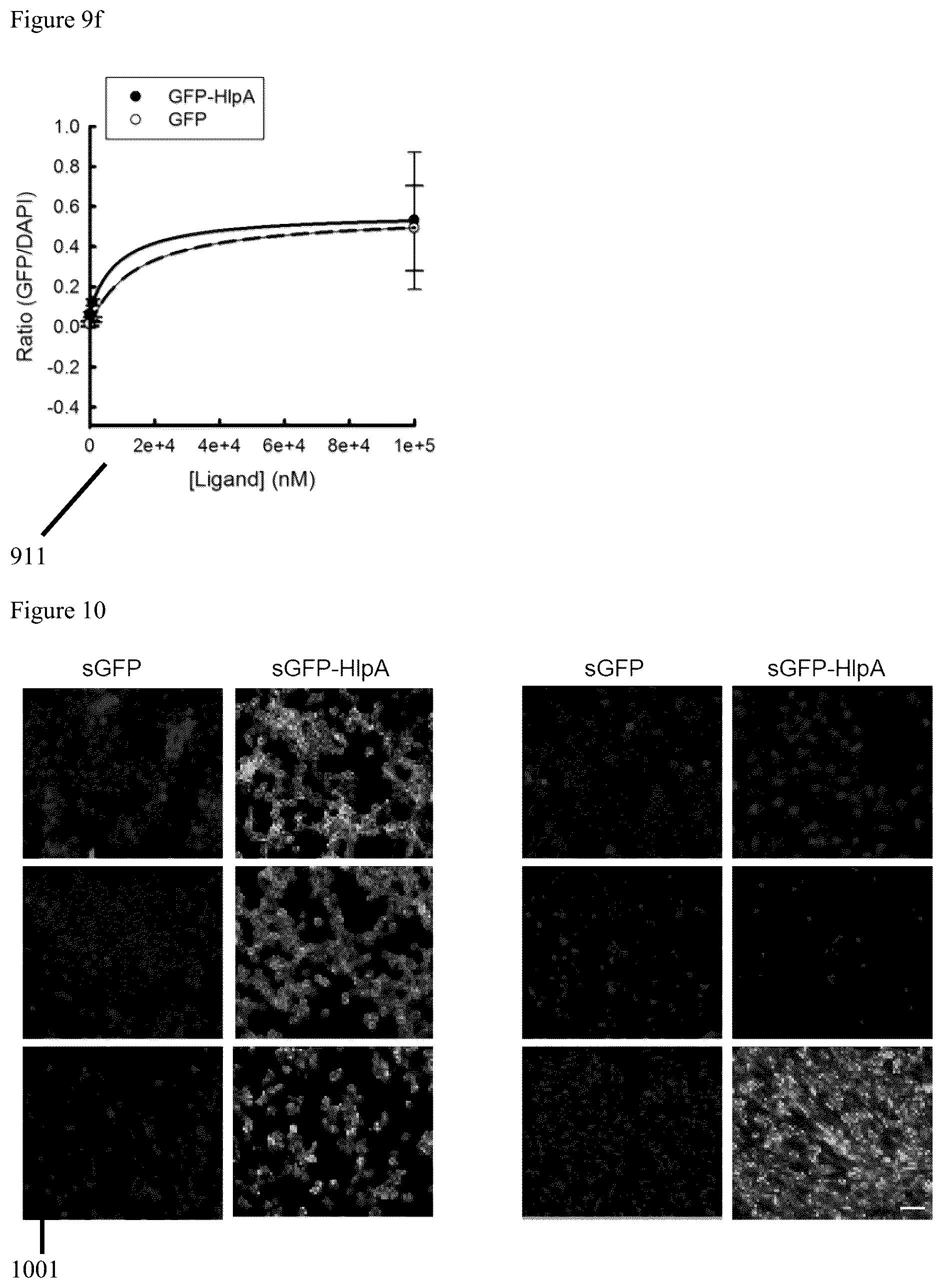 Patent US12569523 Figure 15 – Engineered therapeutic probiotic system and method