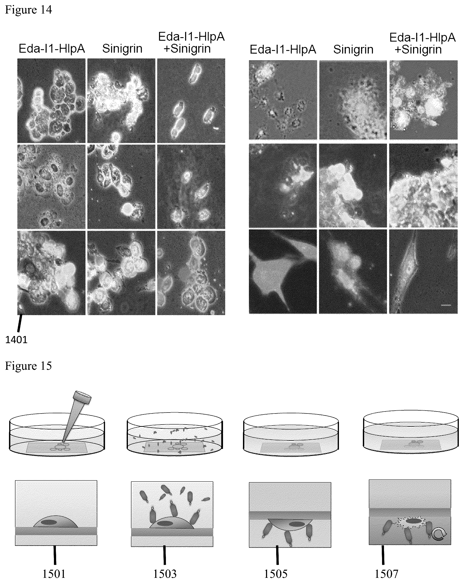 Patent US12569523 Figure 18 – Engineered therapeutic probiotic system and method