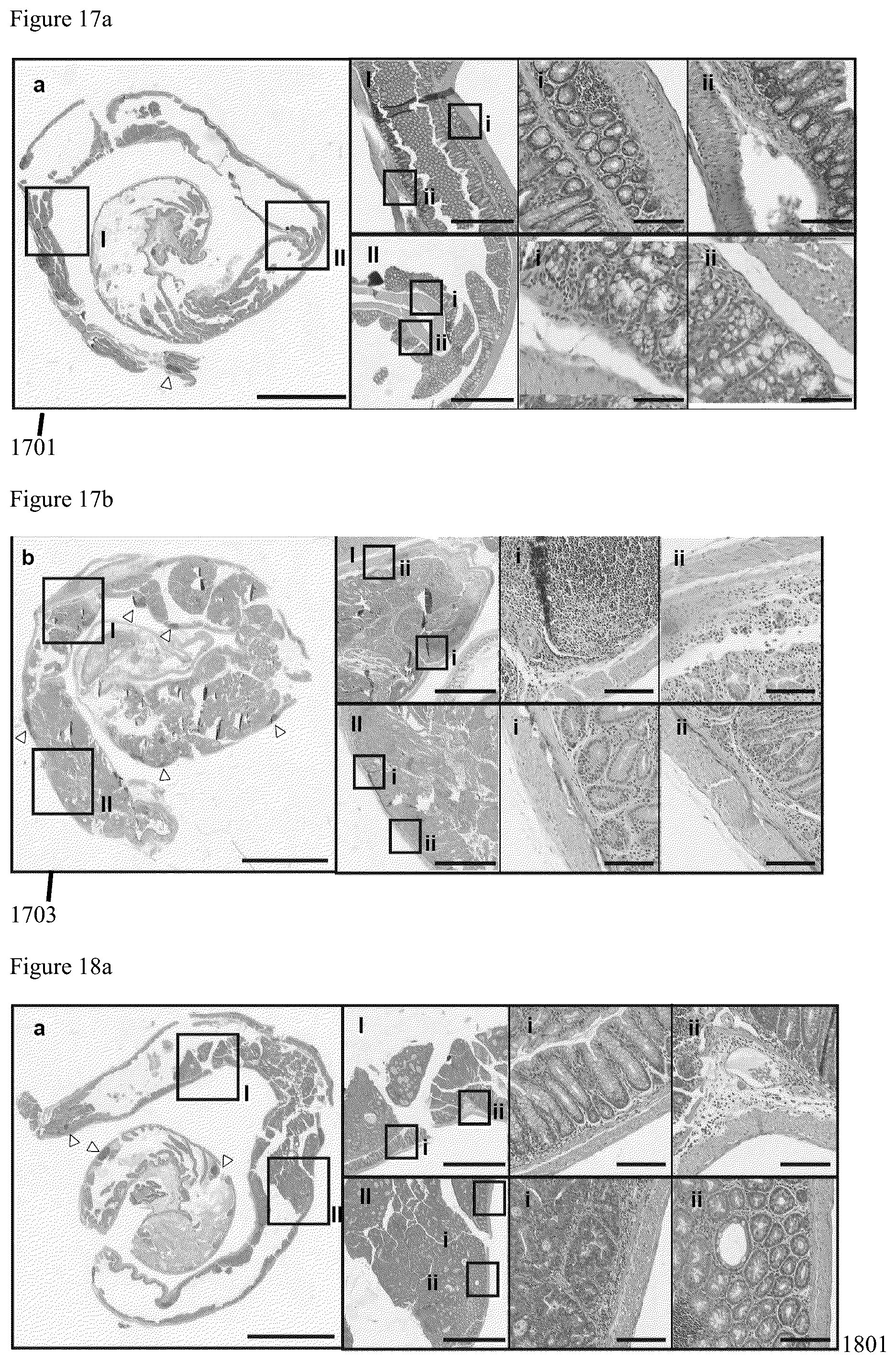 Patent US12569523 Figure 20 – Engineered therapeutic probiotic system and method