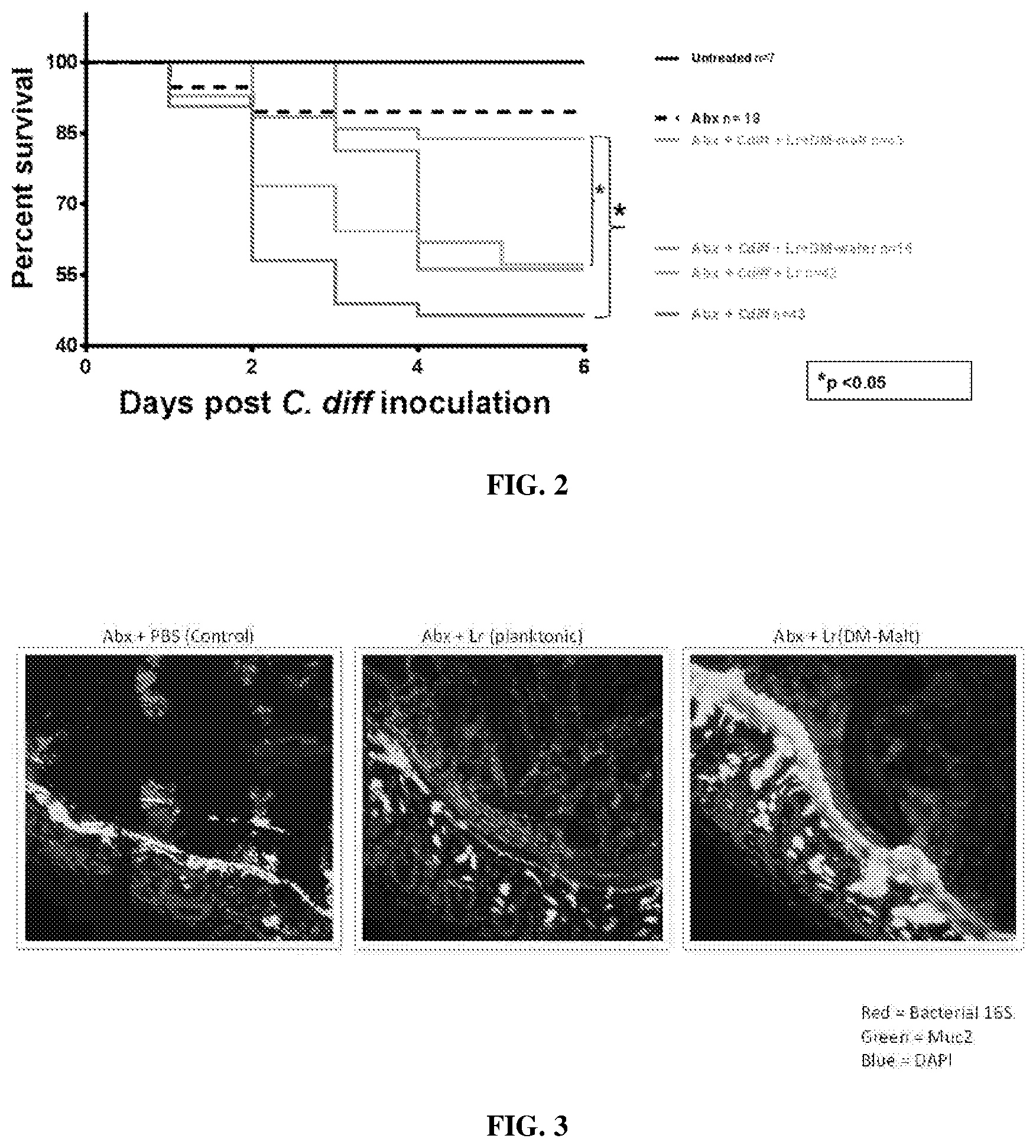 Patent US12569524 Figure 2 – Compositions and methods for preventing and treating antibiotic induced pathologies using probiotics in the biofilm state