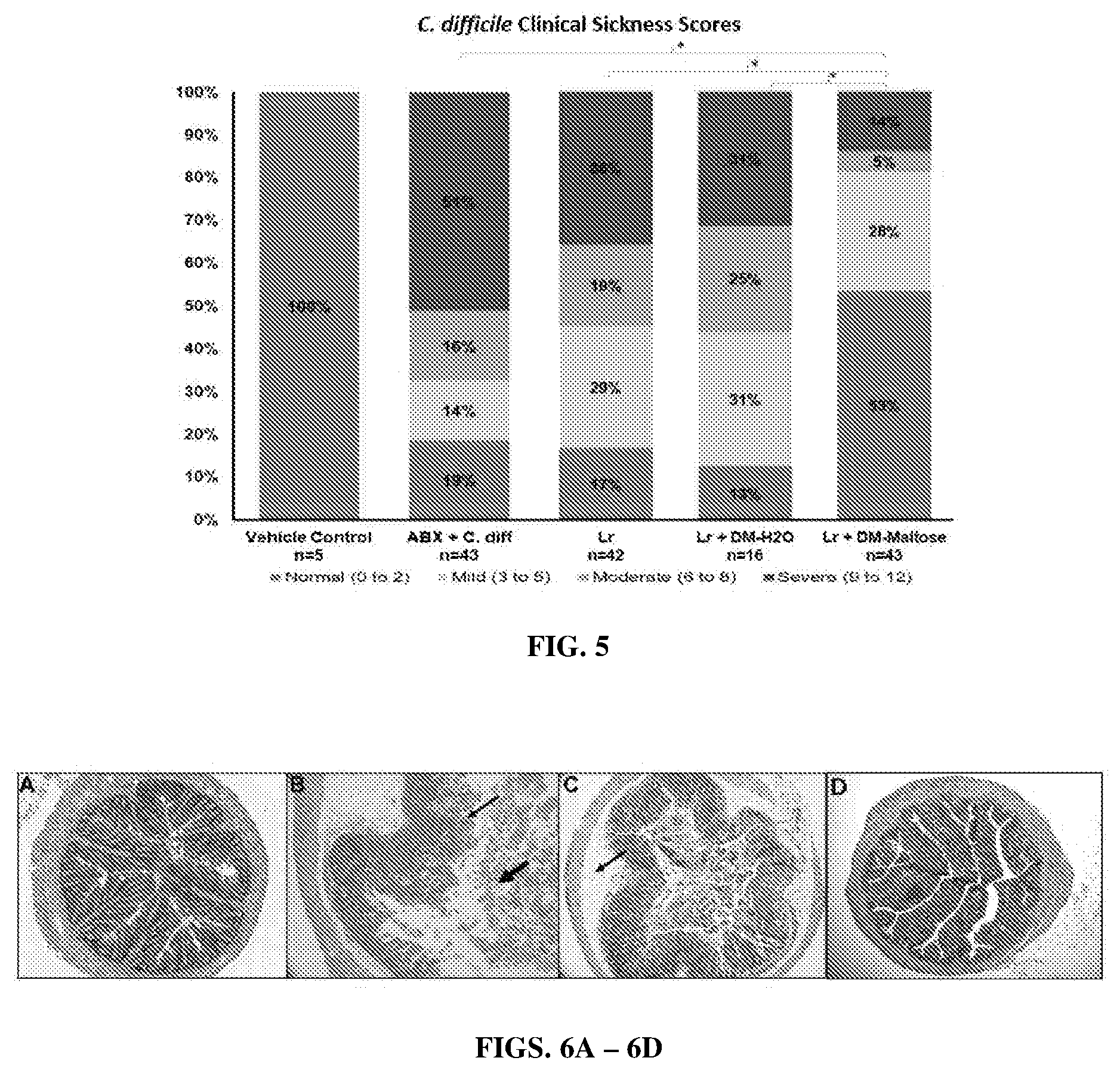 Patent US12569524 Figure 4 – Compositions and methods for preventing and treating antibiotic induced pathologies using probiotics in the biofilm state