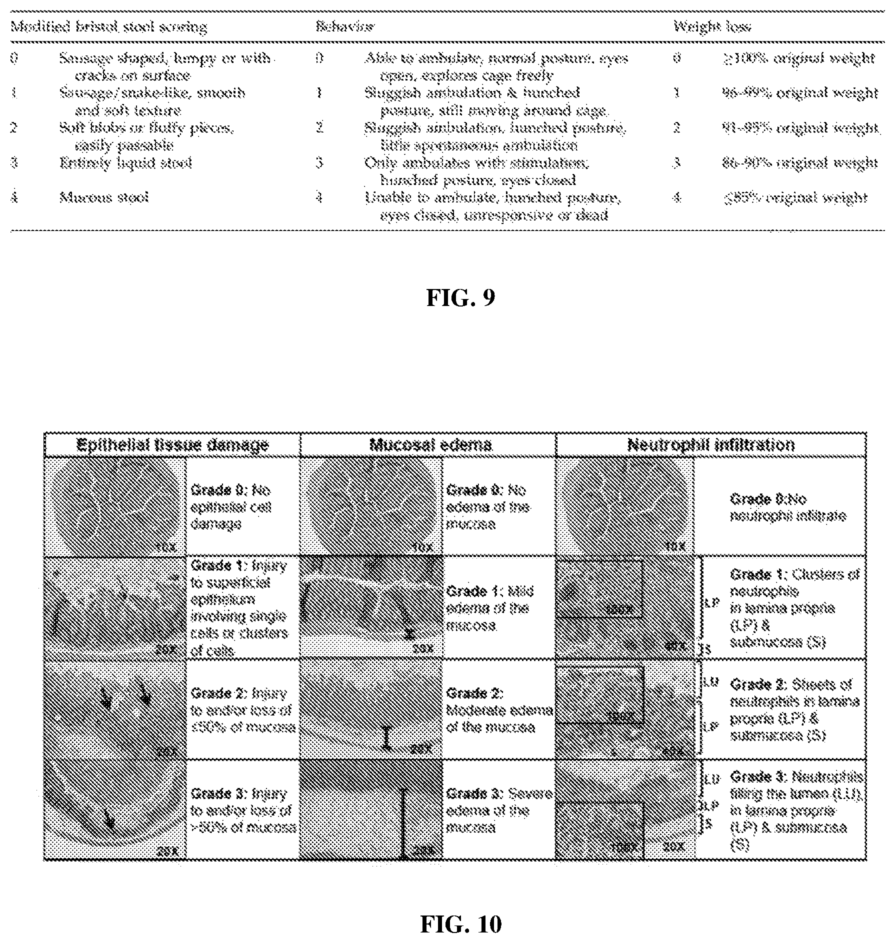 Patent US12569524 Figure 6 – Compositions and methods for preventing and treating antibiotic induced pathologies using probiotics in the biofilm state