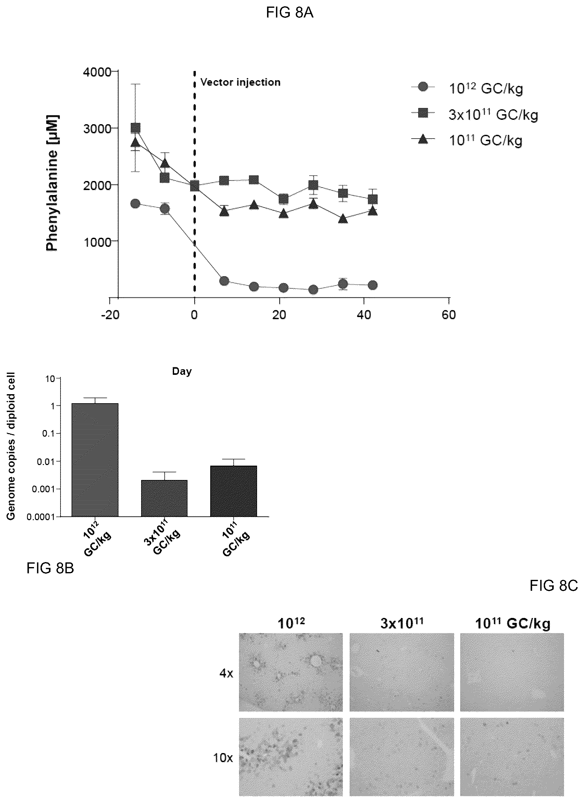 Patent US12569525 Figure 11 – Gene therapy for treating phenylketonuria