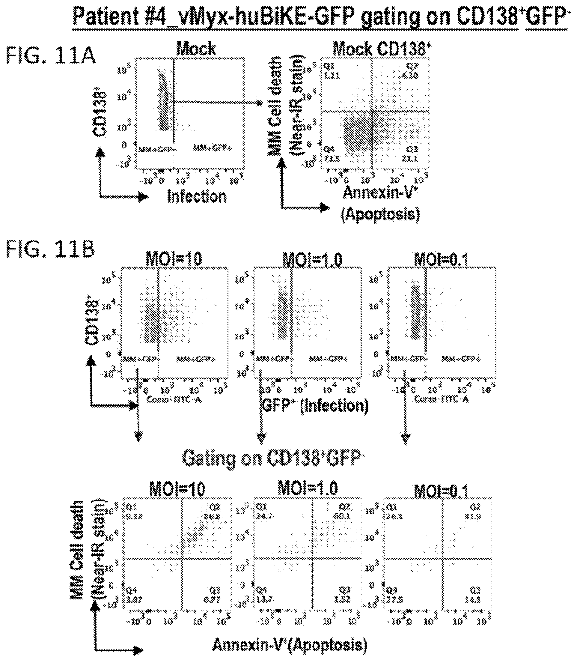 Patent US12569526 Figure 12 – Oncolytic virus platform to treat hematological cancer