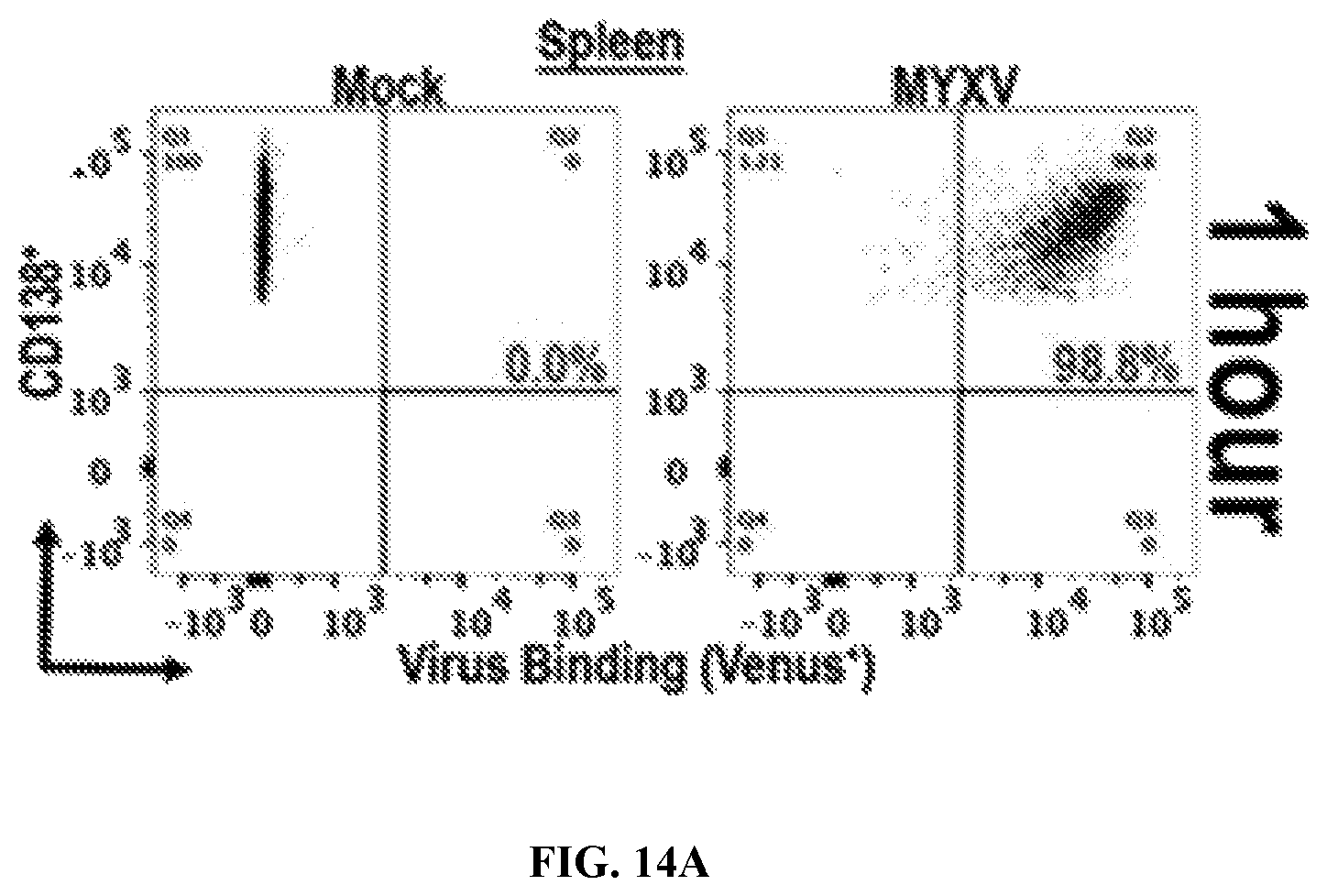Patent US12569526 Figure 16 – Oncolytic virus platform to treat hematological cancer