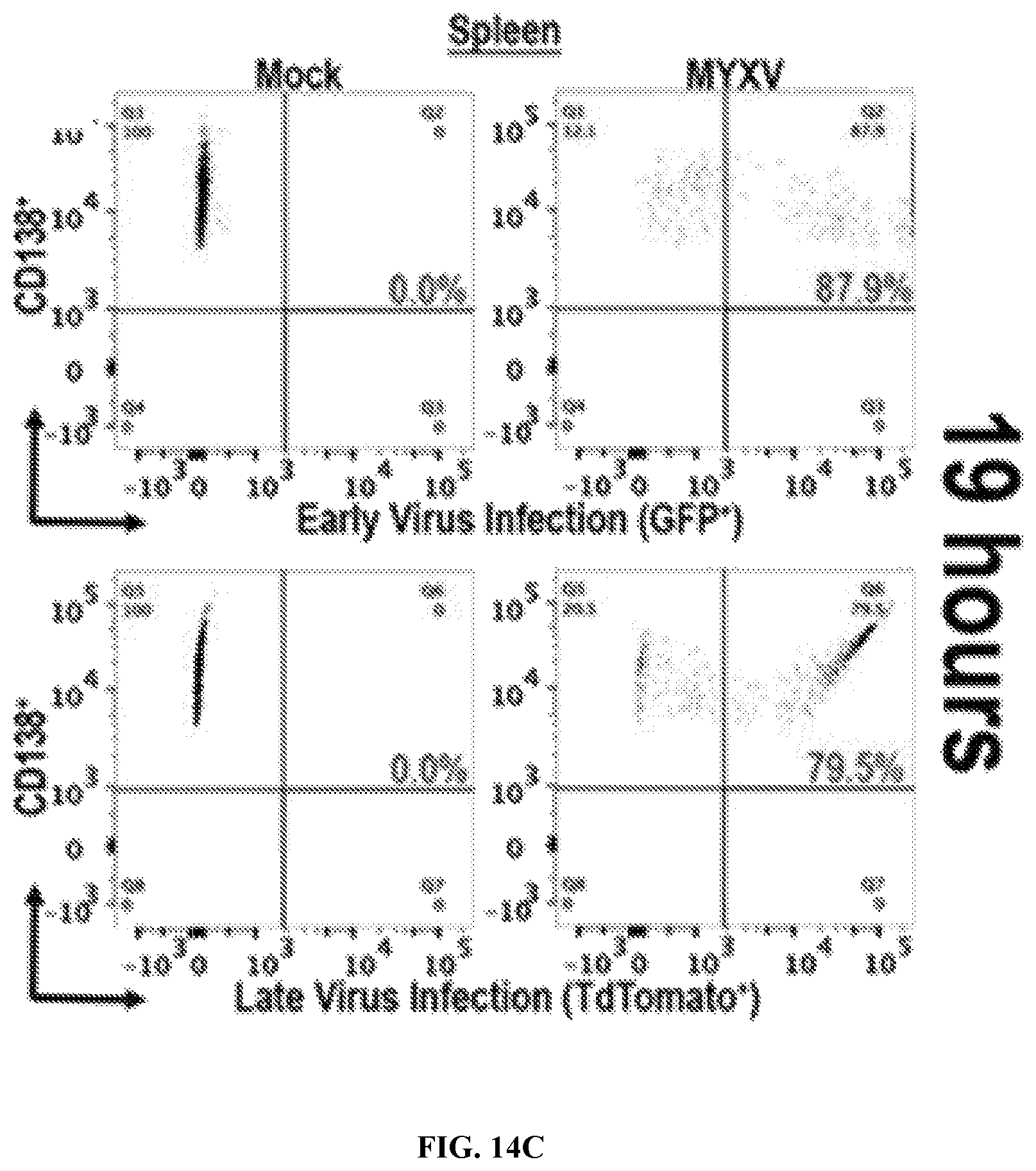 Patent US12569526 Figure 18 – Oncolytic virus platform to treat hematological cancer