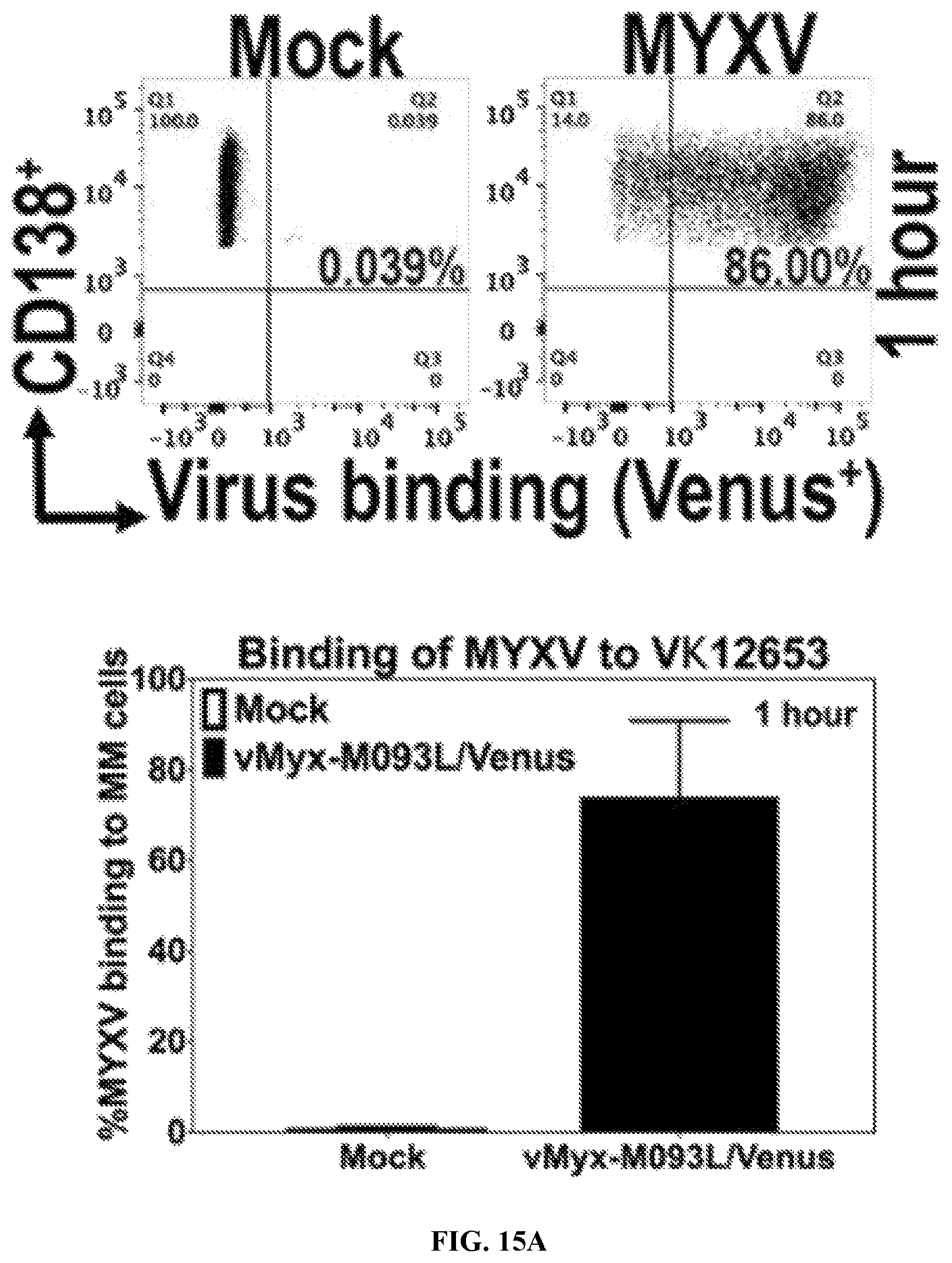 Patent US12569526 Figure 19 – Oncolytic virus platform to treat hematological cancer