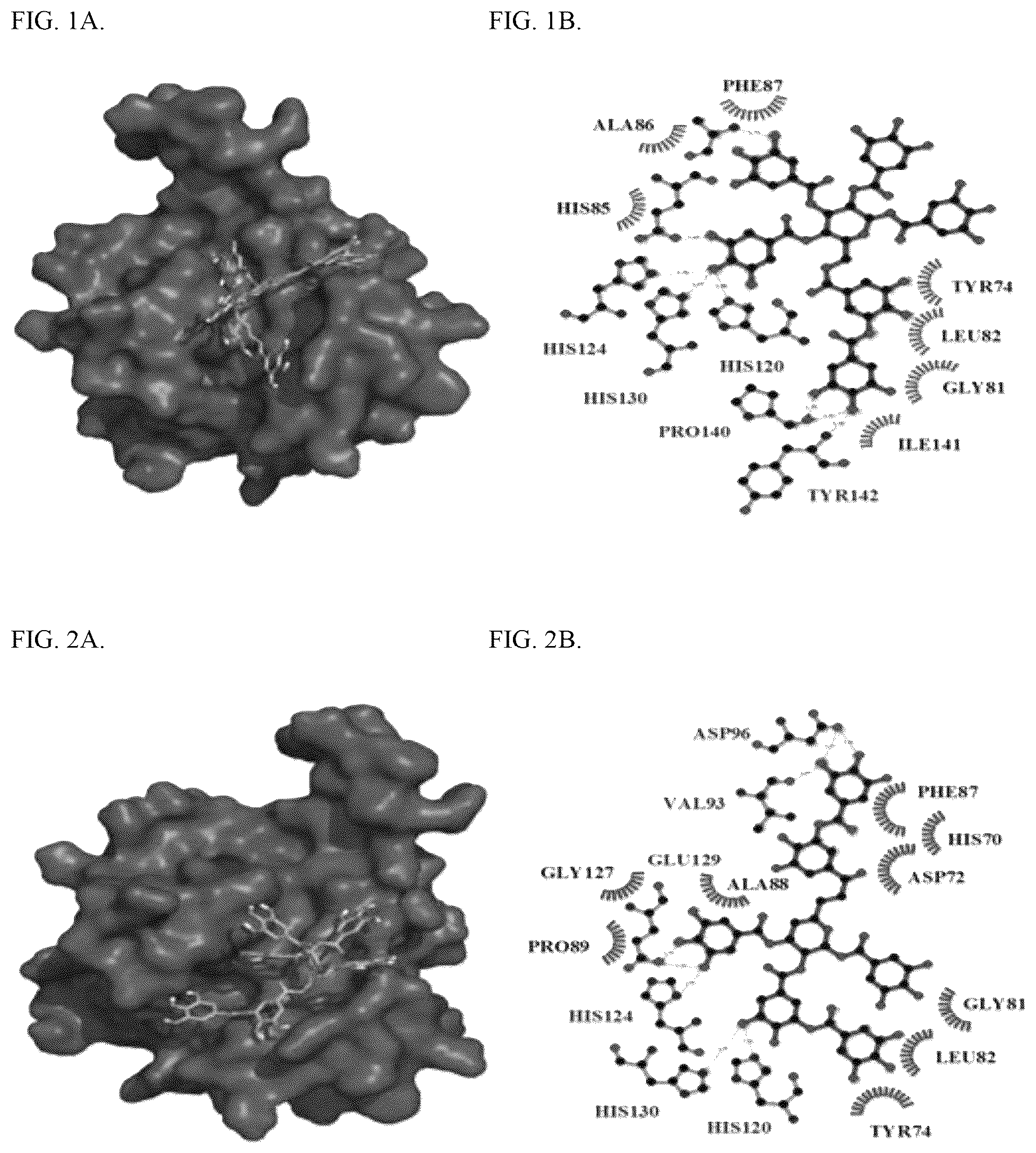Patent US12569530 Figure 1 – Tannin-based antiproliferative pharmaceutical