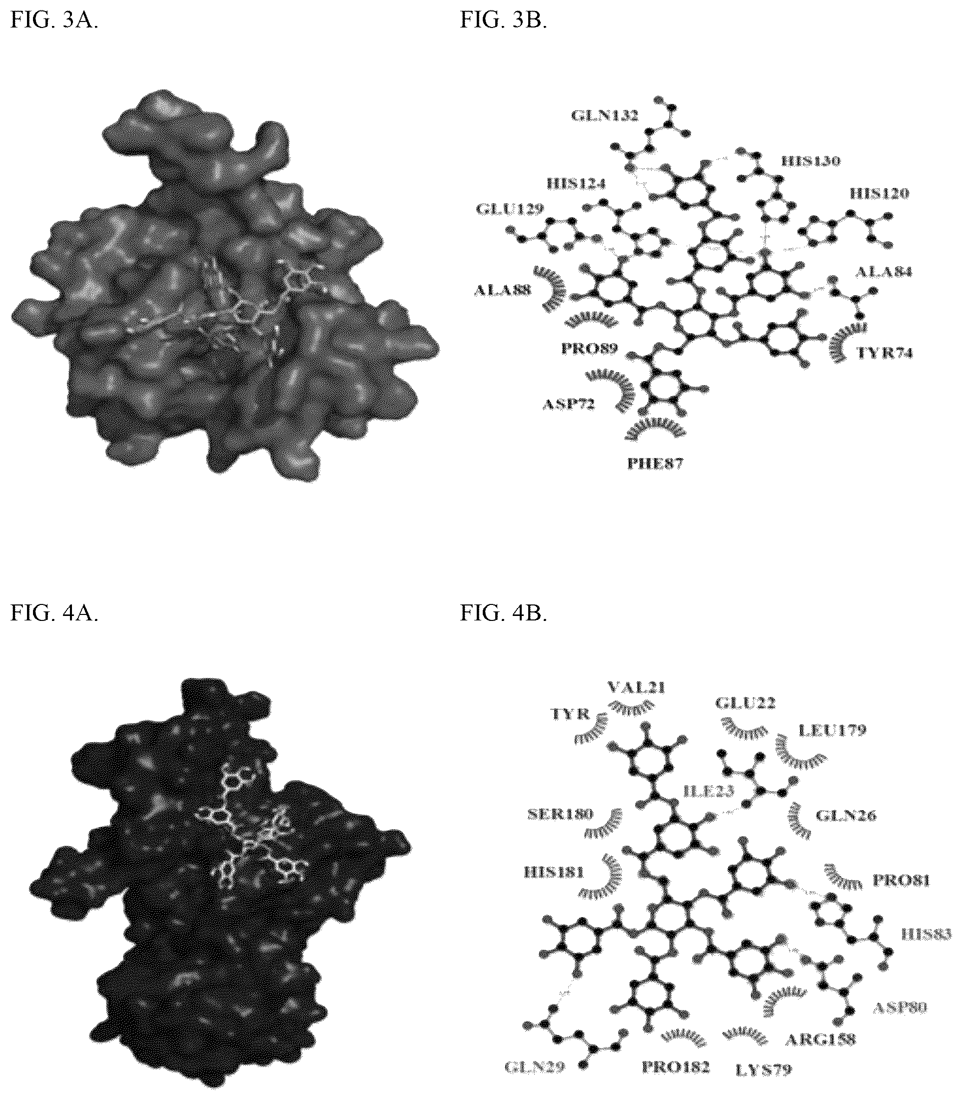 Patent US12569530 Figure 2 – Tannin-based antiproliferative pharmaceutical