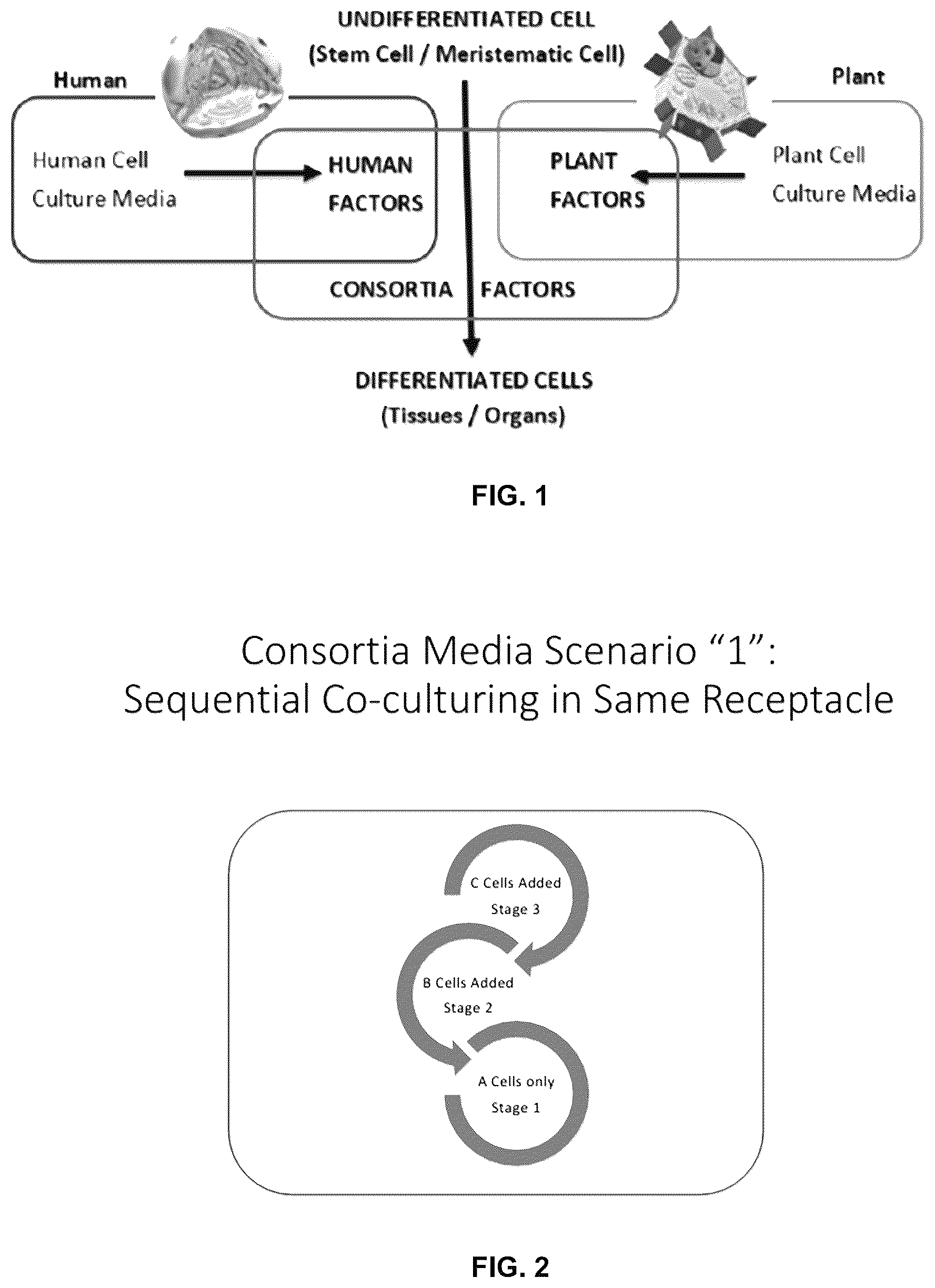 Patent US12569537 Figure 1 – System and method for the production, formulation and use of conditioned media, cultured cells and the factors included therein