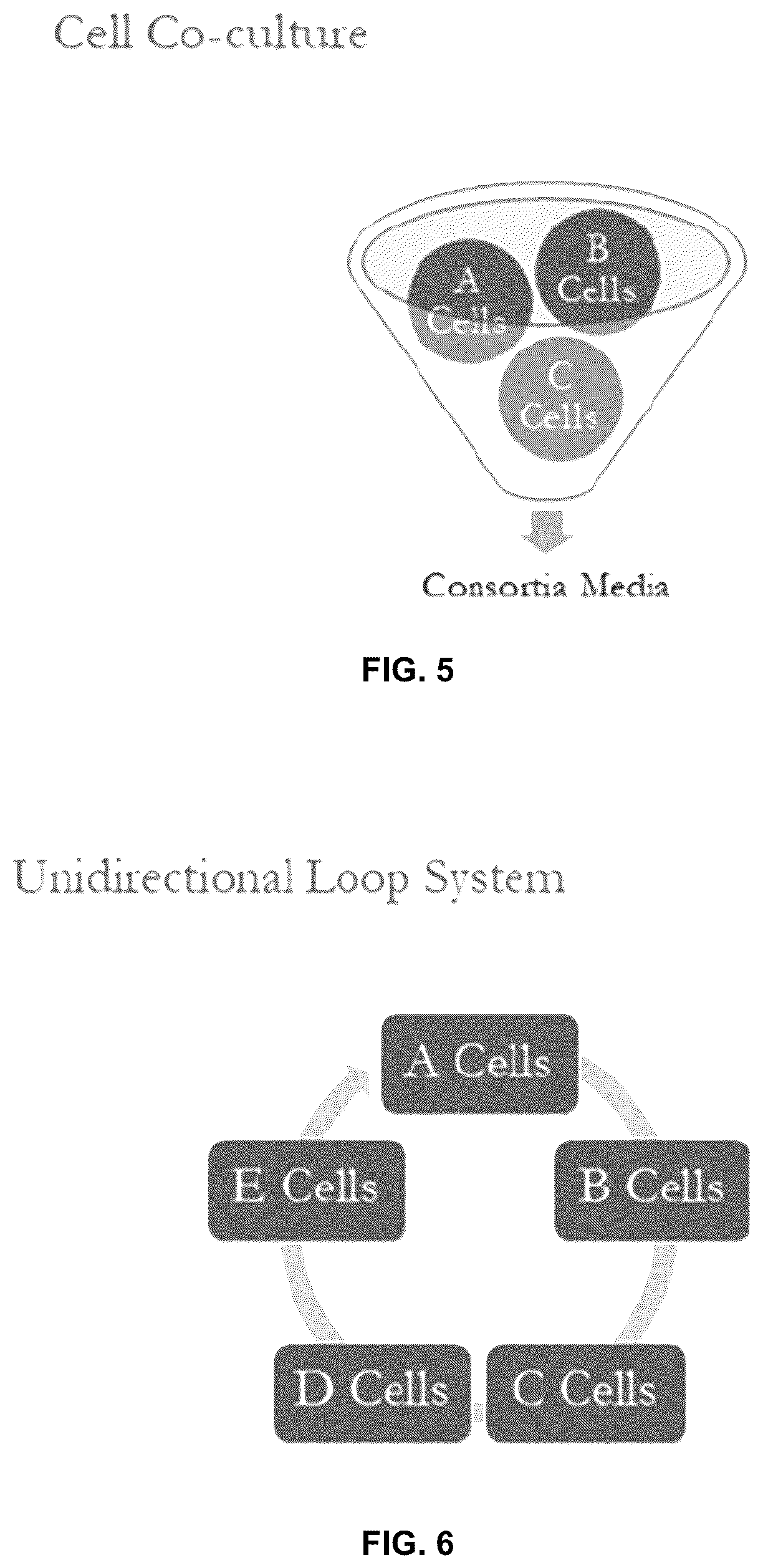 Patent US12569537 Figure 3 – System and method for the production, formulation and use of conditioned media, cultured cells and the factors included therein