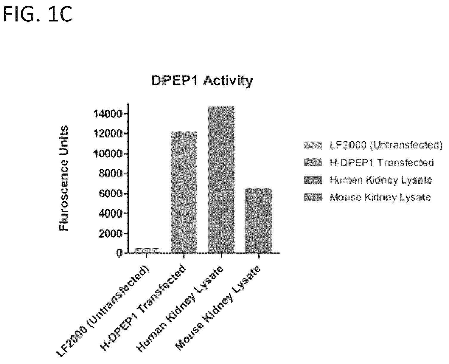Patent US12569538 Figure 2 – DPEP-1 binding compositions and methods of use