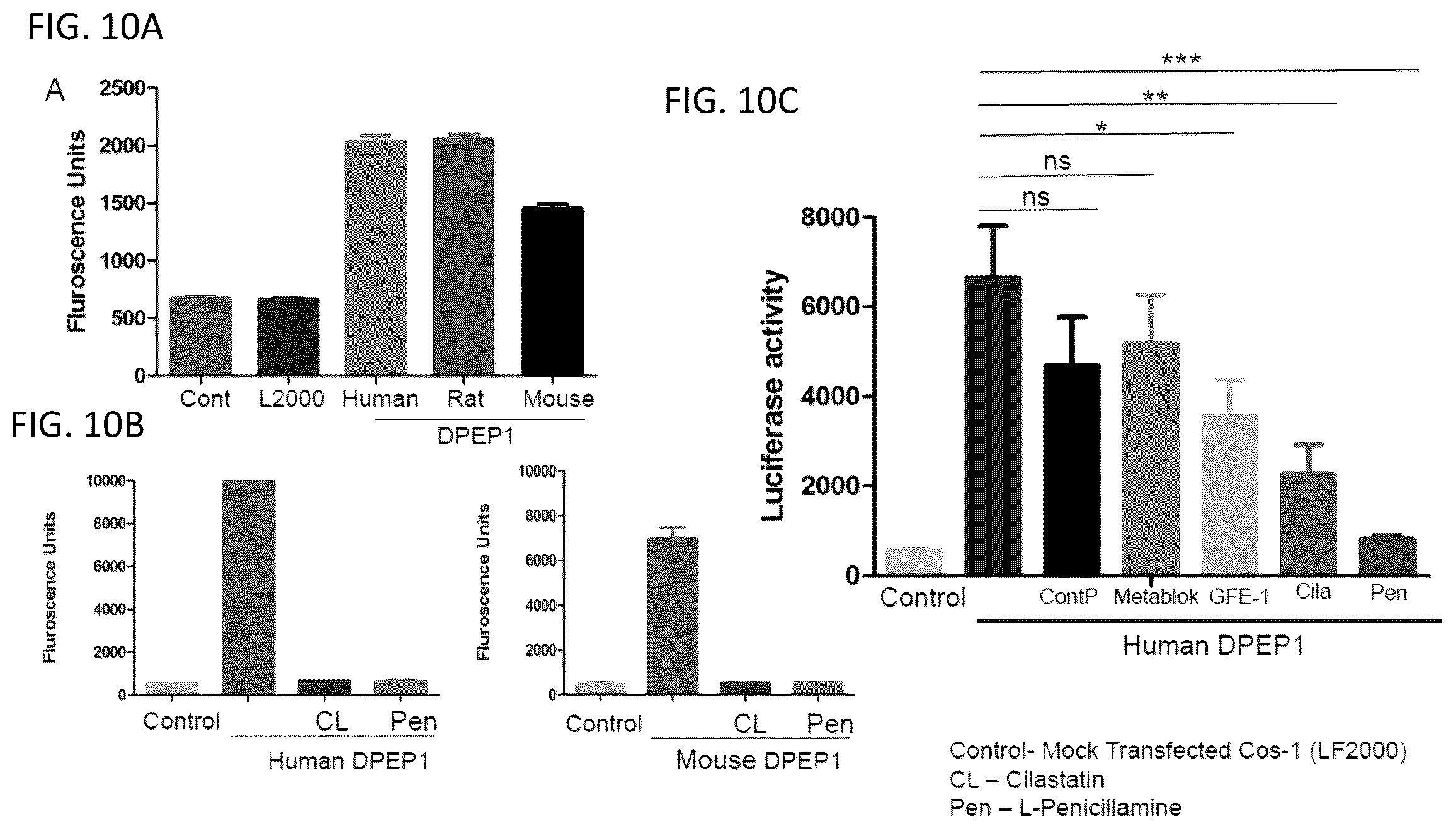 Patent US12569538 Figure 13 – DPEP-1 binding compositions and methods of use