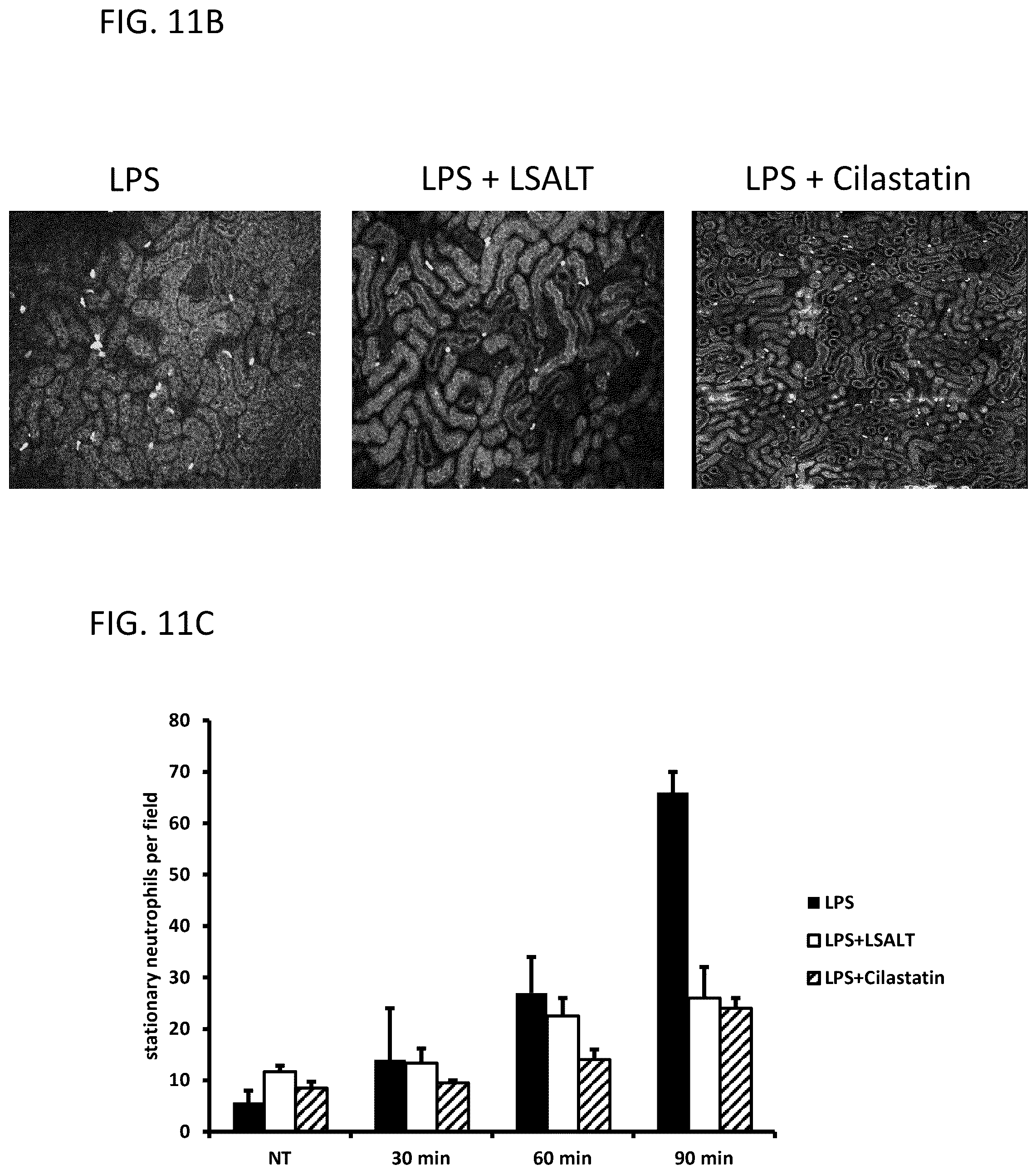 Patent US12569538 Figure 15 – DPEP-1 binding compositions and methods of use
