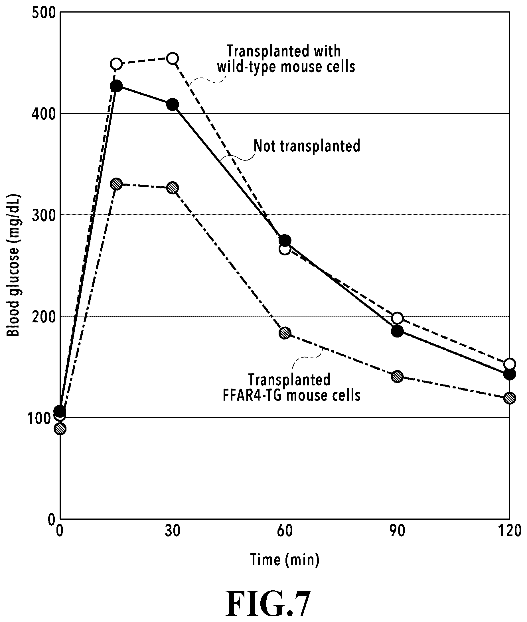 Patent US12569539 Figure 7 – Adipocytes over-expressing FFAR4 and use thereof