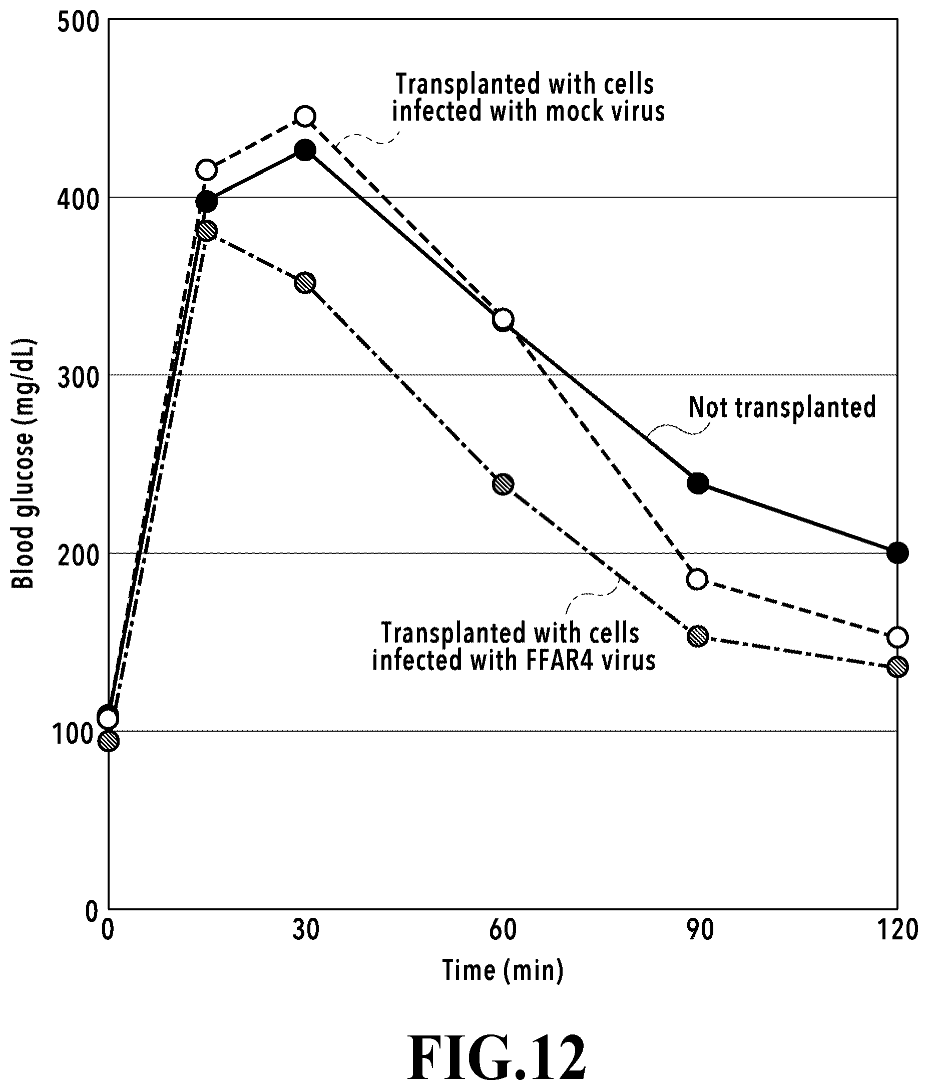 Patent US12569539 Figure 12 – Adipocytes over-expressing FFAR4 and use thereof