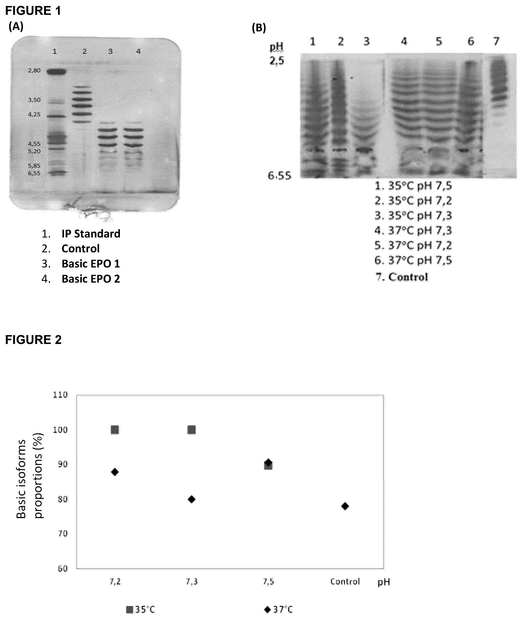 Patent US12569540 Figure 1 – Human recombinant hyposialylated erythropoietin, methods of purification and therapeutic uses thereof