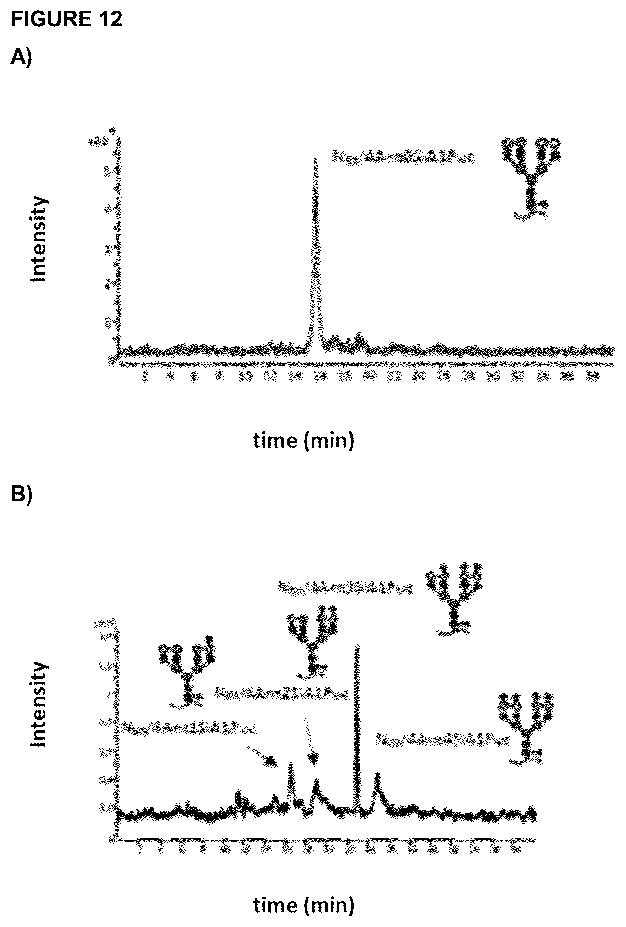 Patent US12569540 Figure 7 – Human recombinant hyposialylated erythropoietin, methods of purification and therapeutic uses thereof