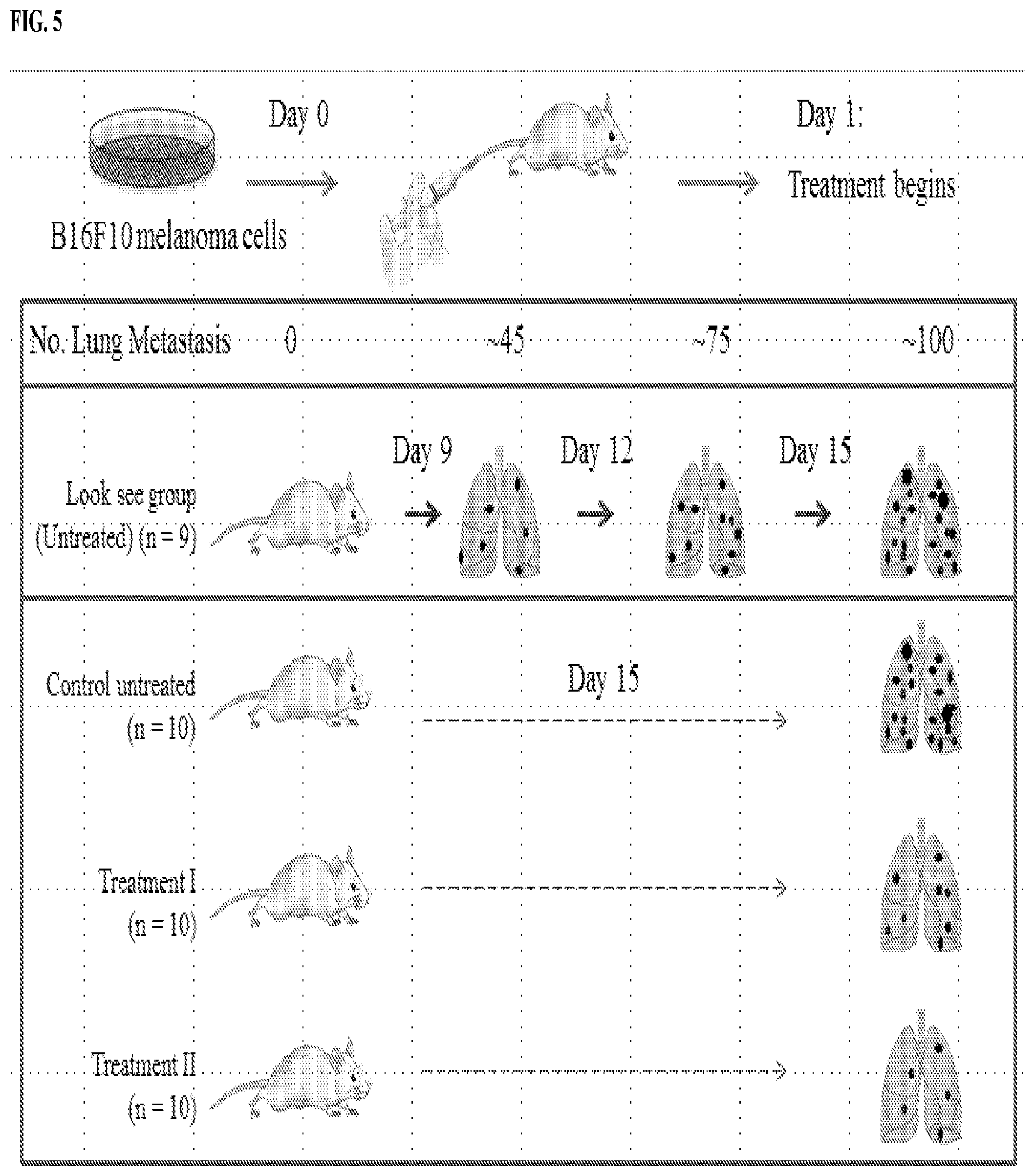 Patent US12569542 Figure 16 – Treatment of cancer with immune stimulators