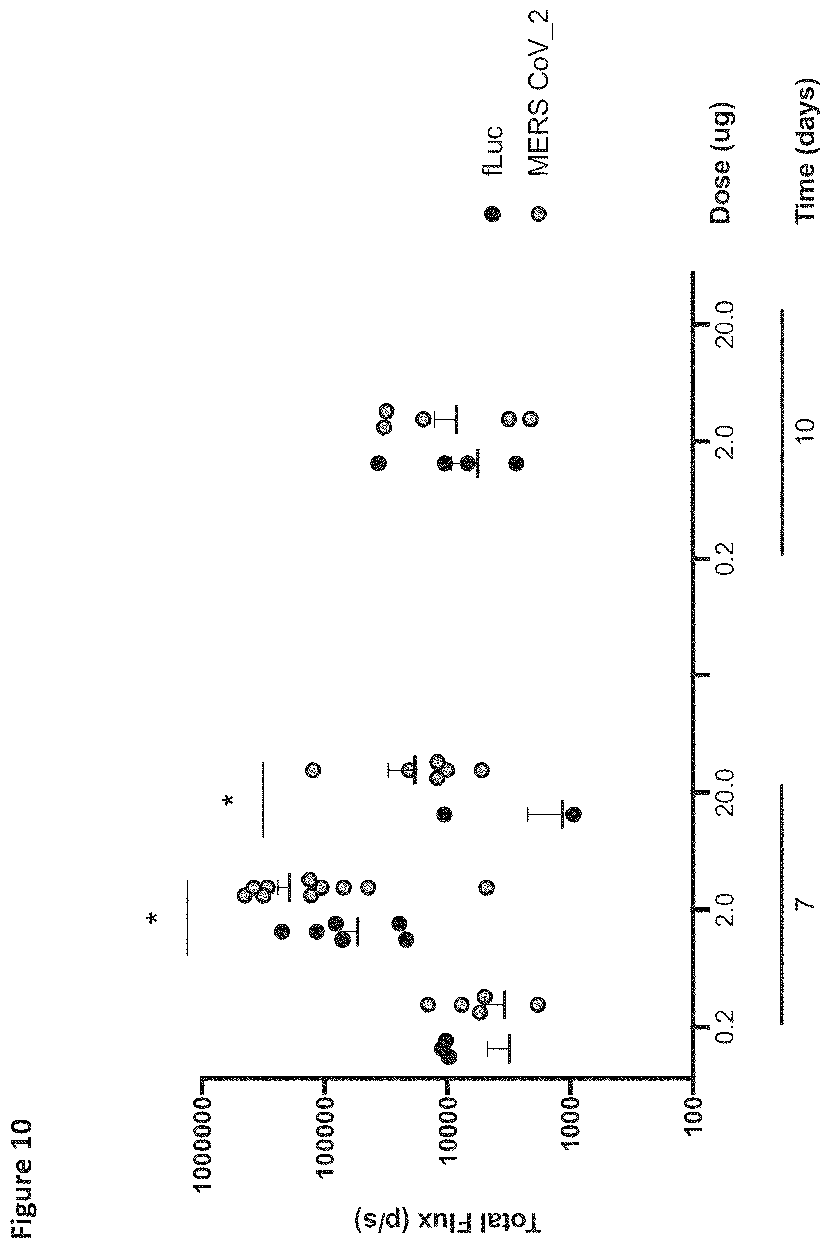 Patent US12569548 Figure 13 – RNA construct