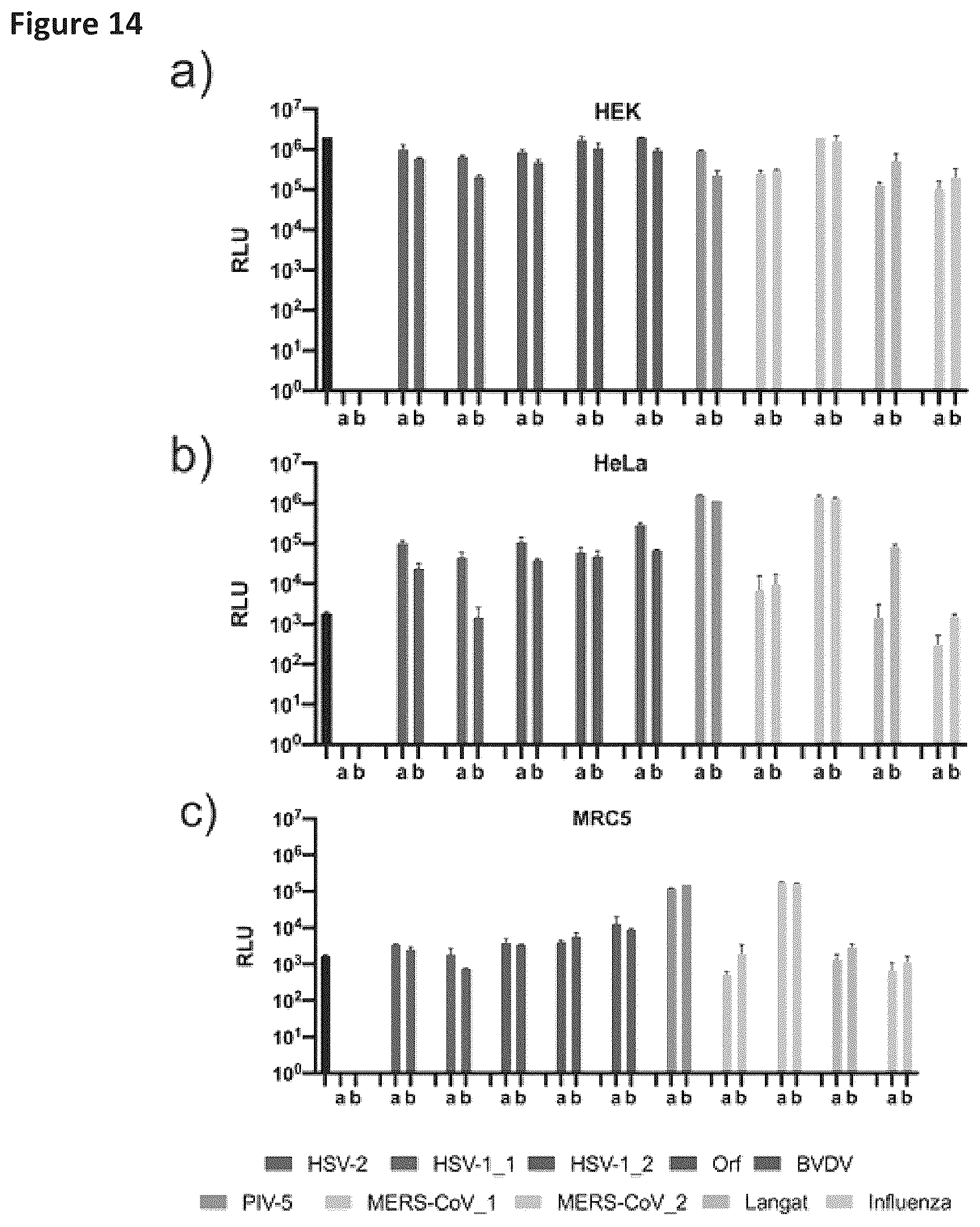 Patent US12569548 Figure 17 – RNA construct