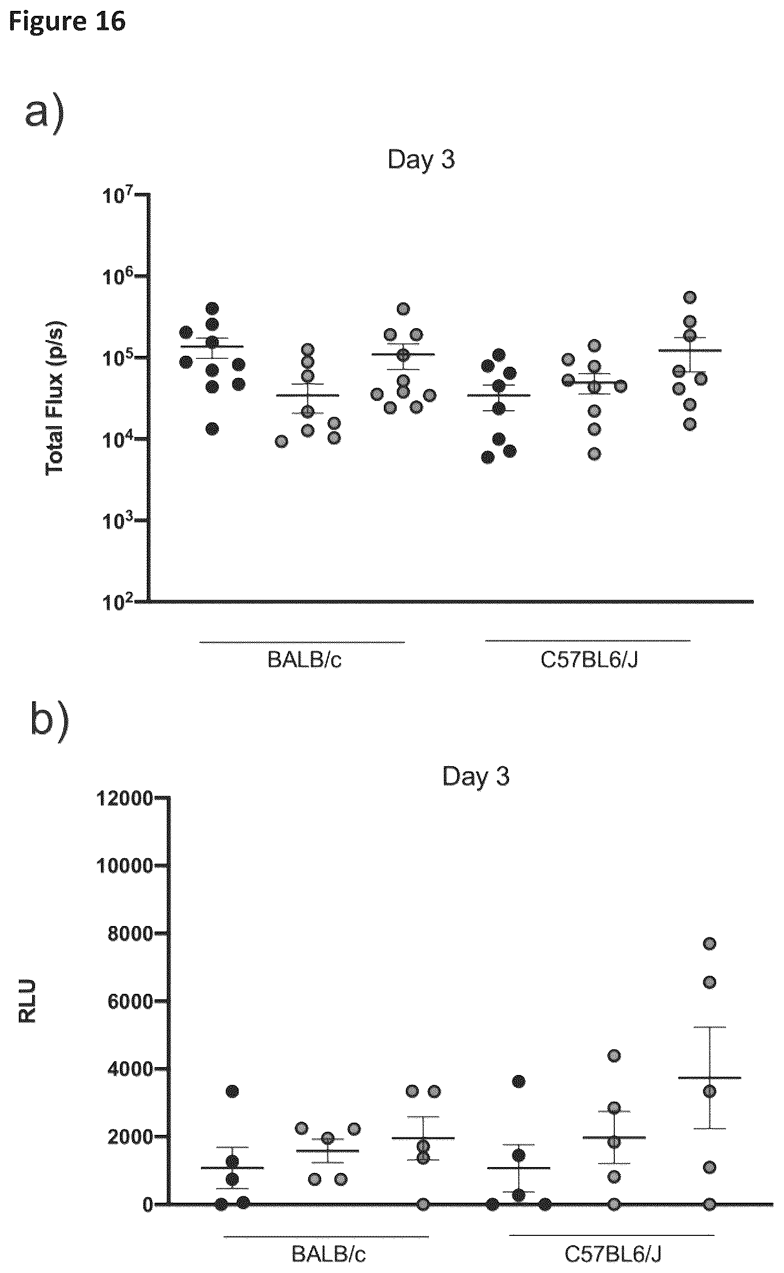 Patent US12569548 Figure 19 – RNA construct