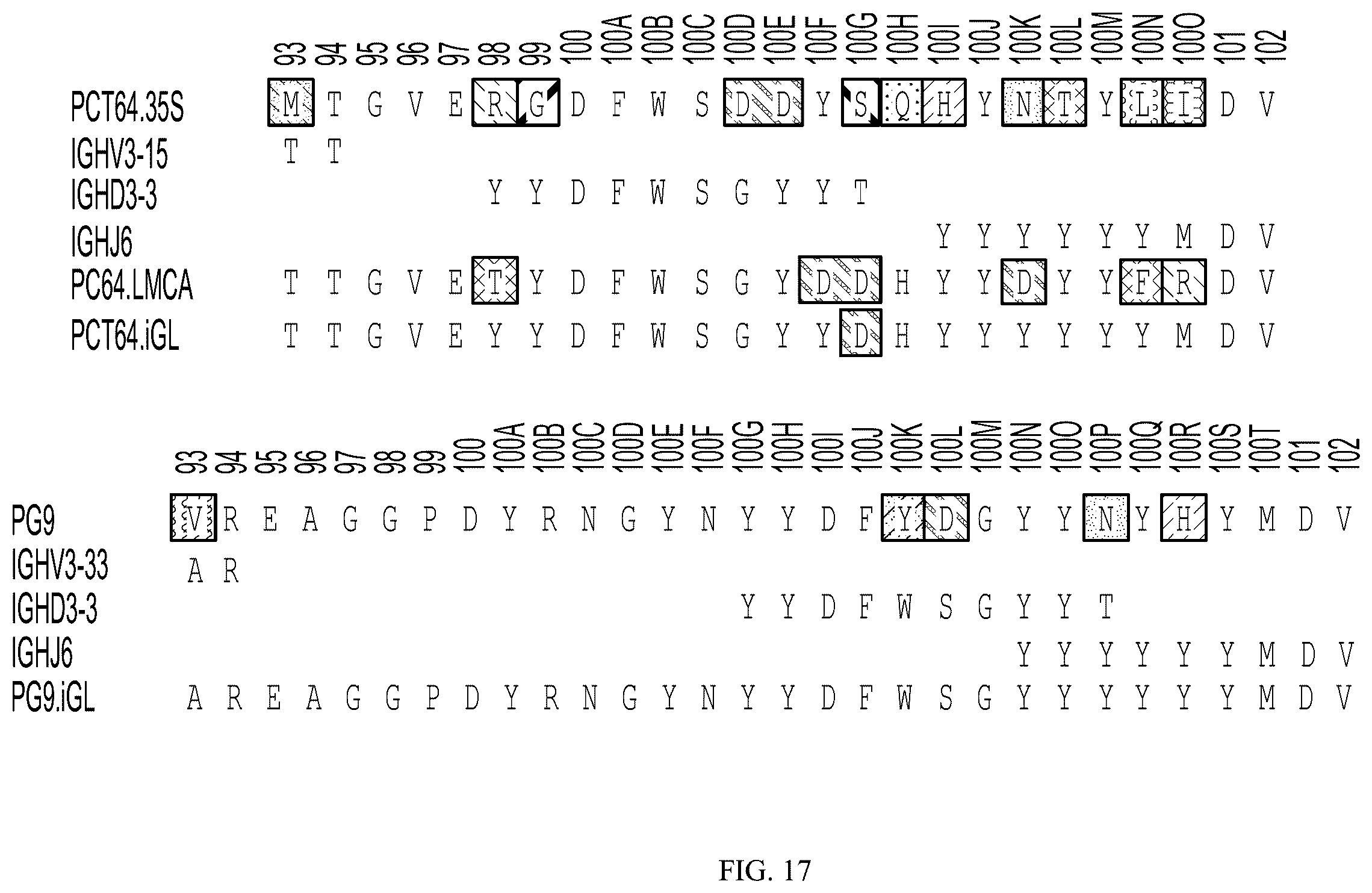 Patent US12569551 Figure 16 – Modified immunogenic proteins
