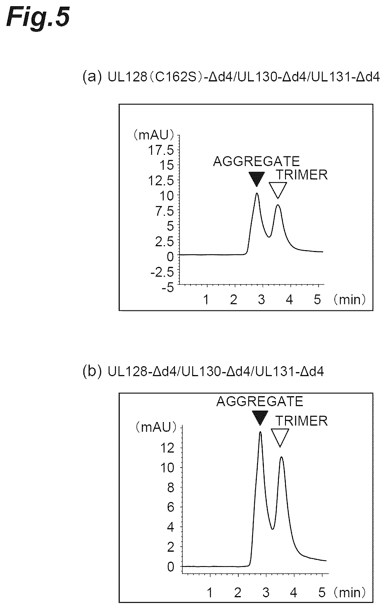 Patent US12569552 Figure 5 – Fusion protein of pentamer and gB of cytomegalovirus, and vaccine containing said fusion protein