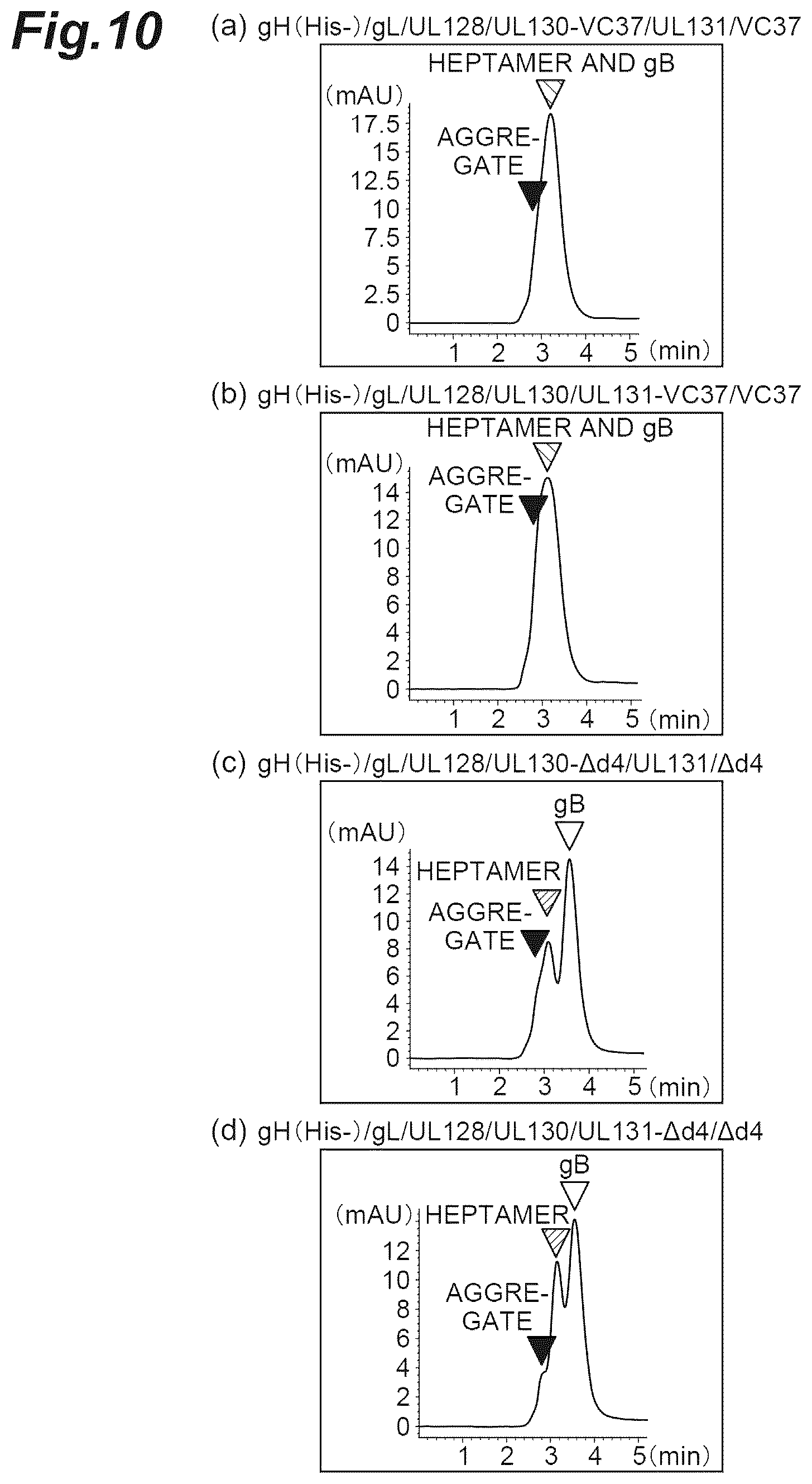 Patent US12569552 Figure 10 – Fusion protein of pentamer and gB of cytomegalovirus, and vaccine containing said fusion protein