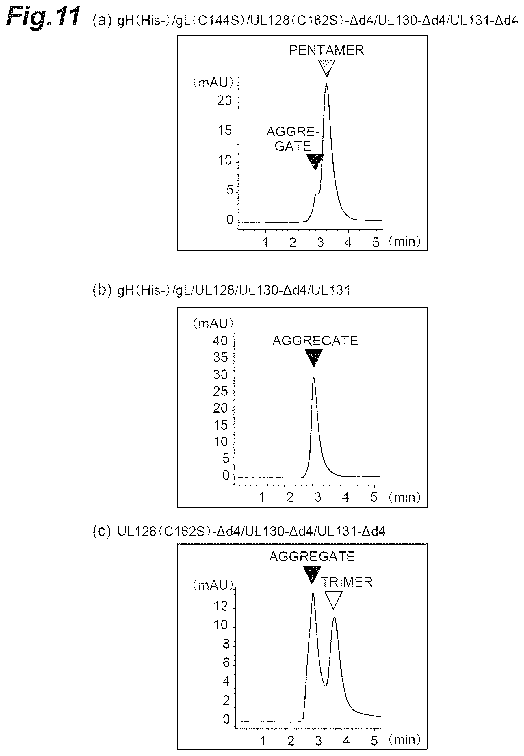 Patent US12569552 Figure 11 – Fusion protein of pentamer and gB of cytomegalovirus, and vaccine containing said fusion protein