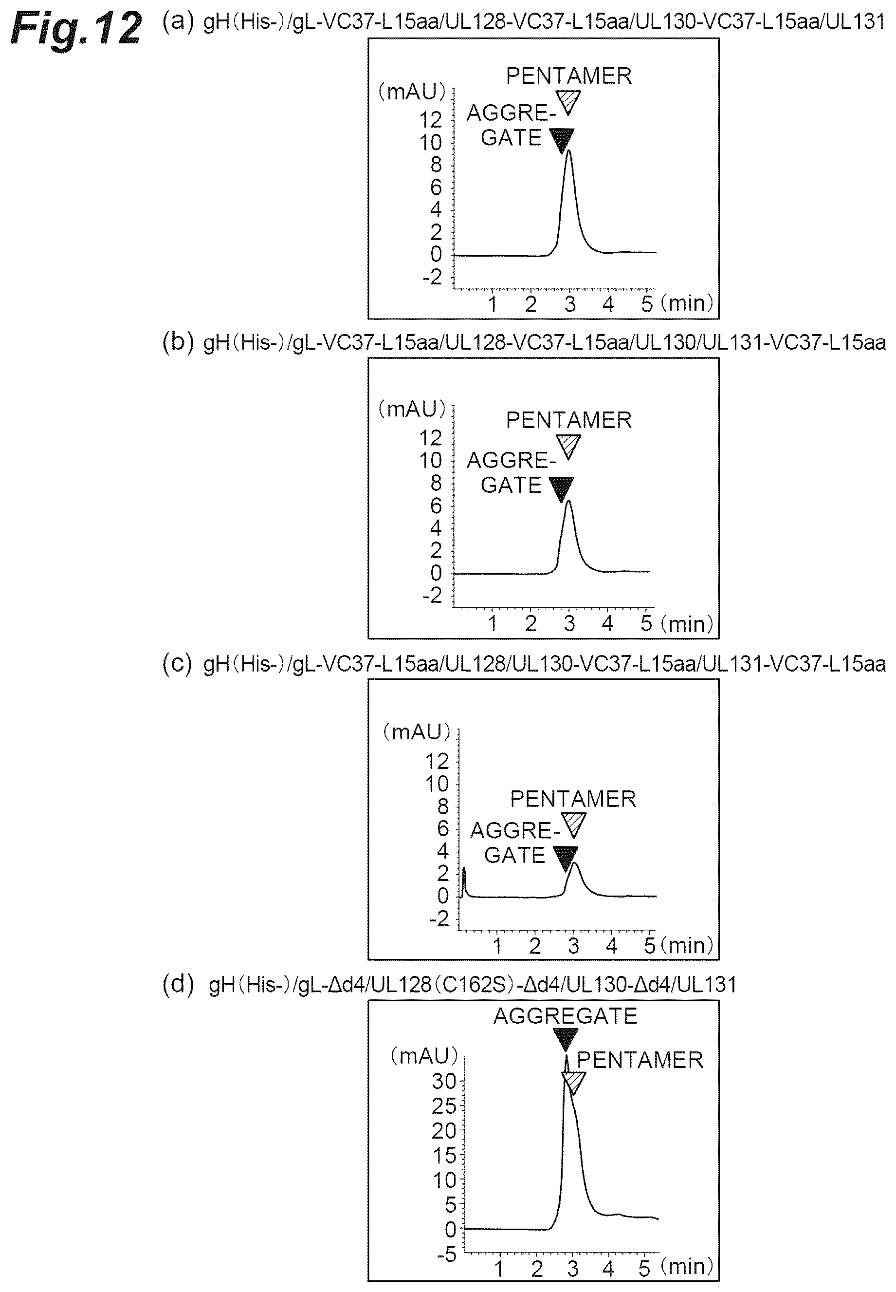 Patent US12569552 Figure 12 – Fusion protein of pentamer and gB of cytomegalovirus, and vaccine containing said fusion protein